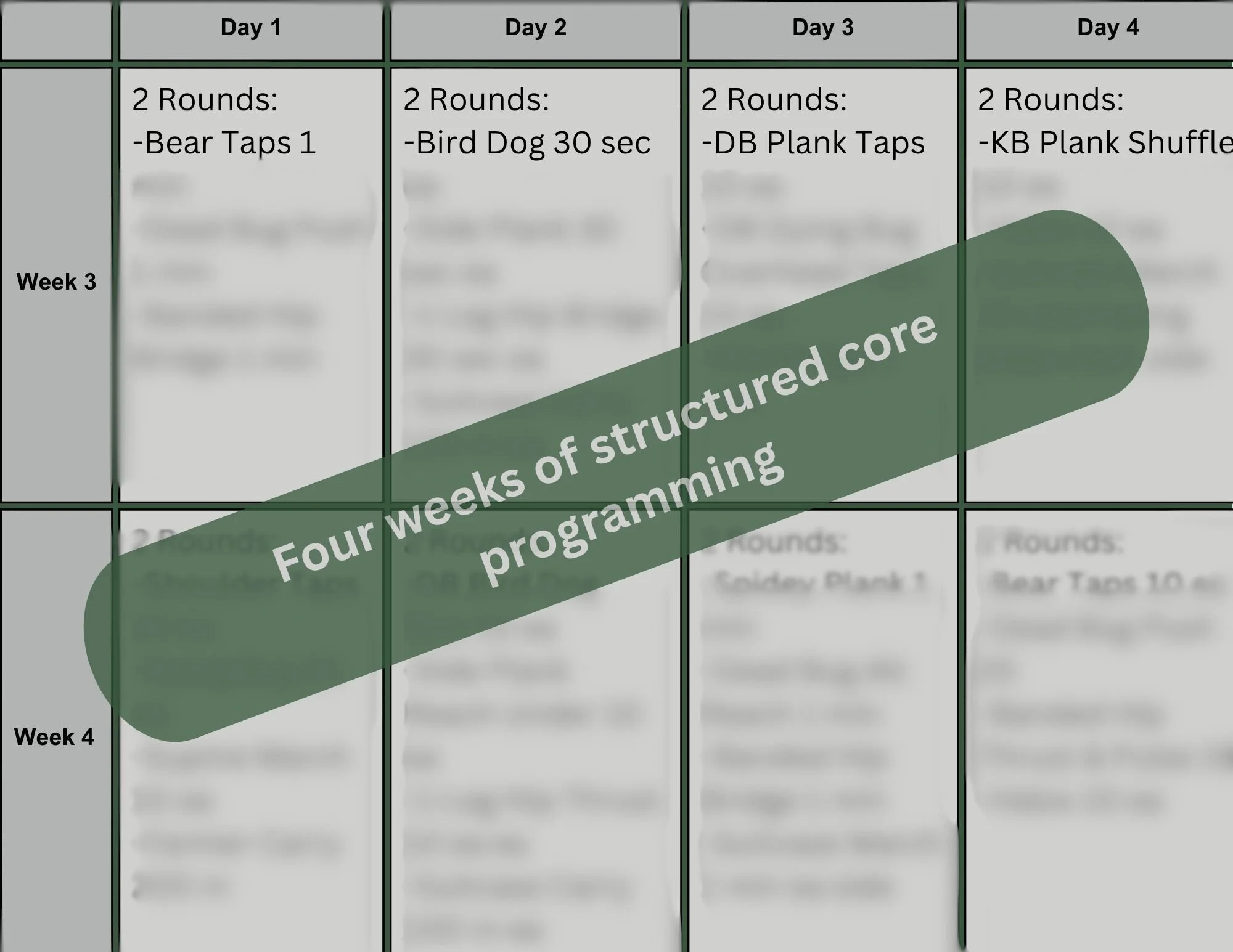 Copy of ABSolute Strength  (1).jpg