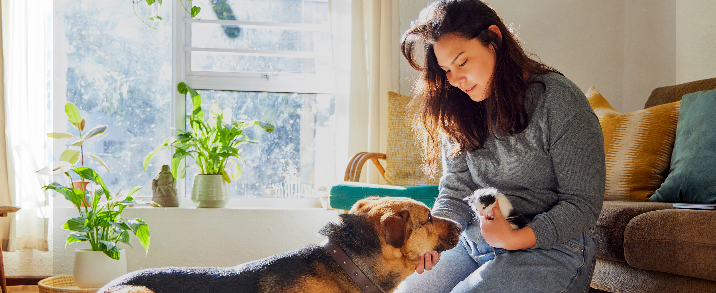 Mars Petcare