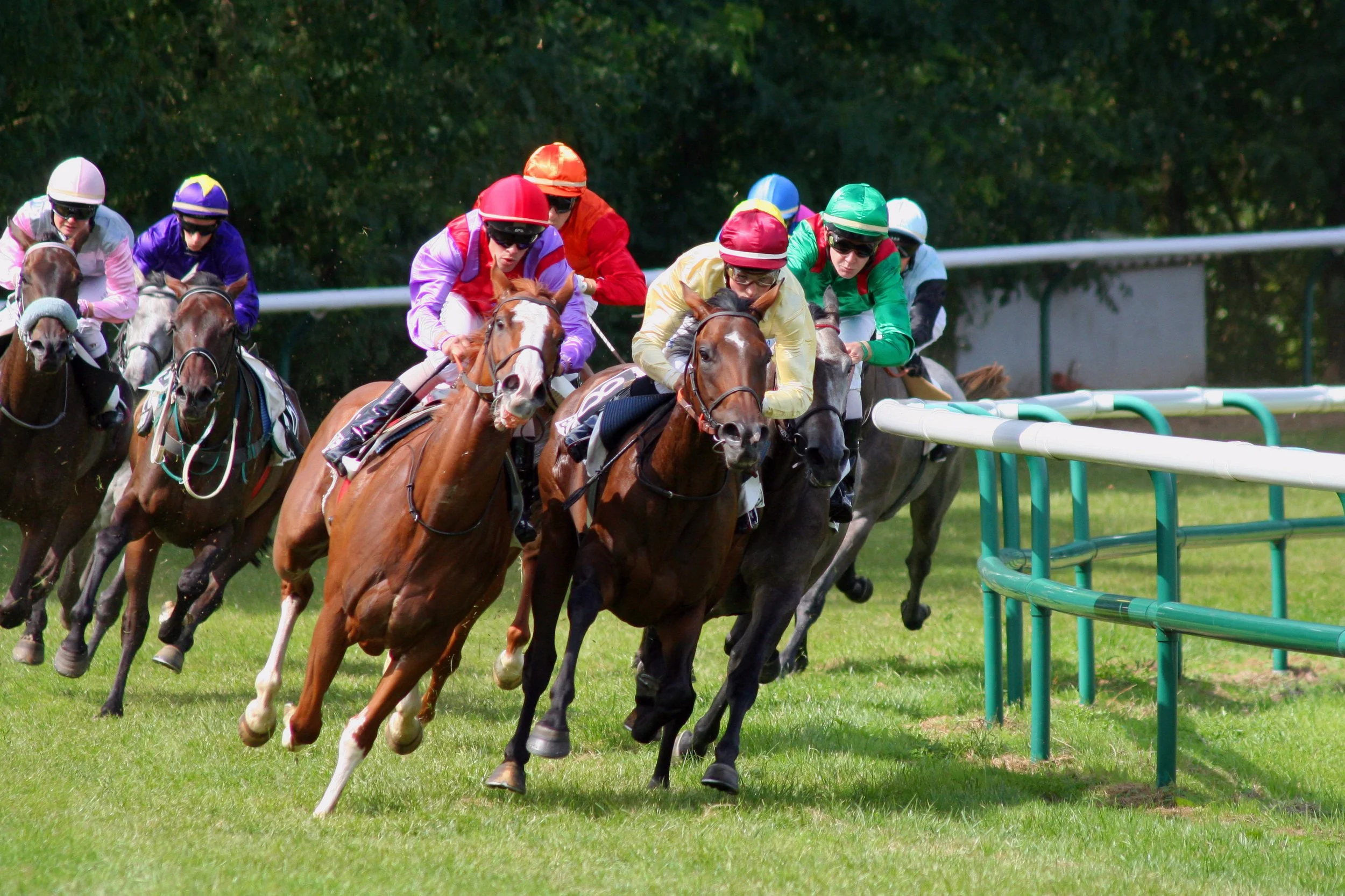 Horse racing in procession on race track