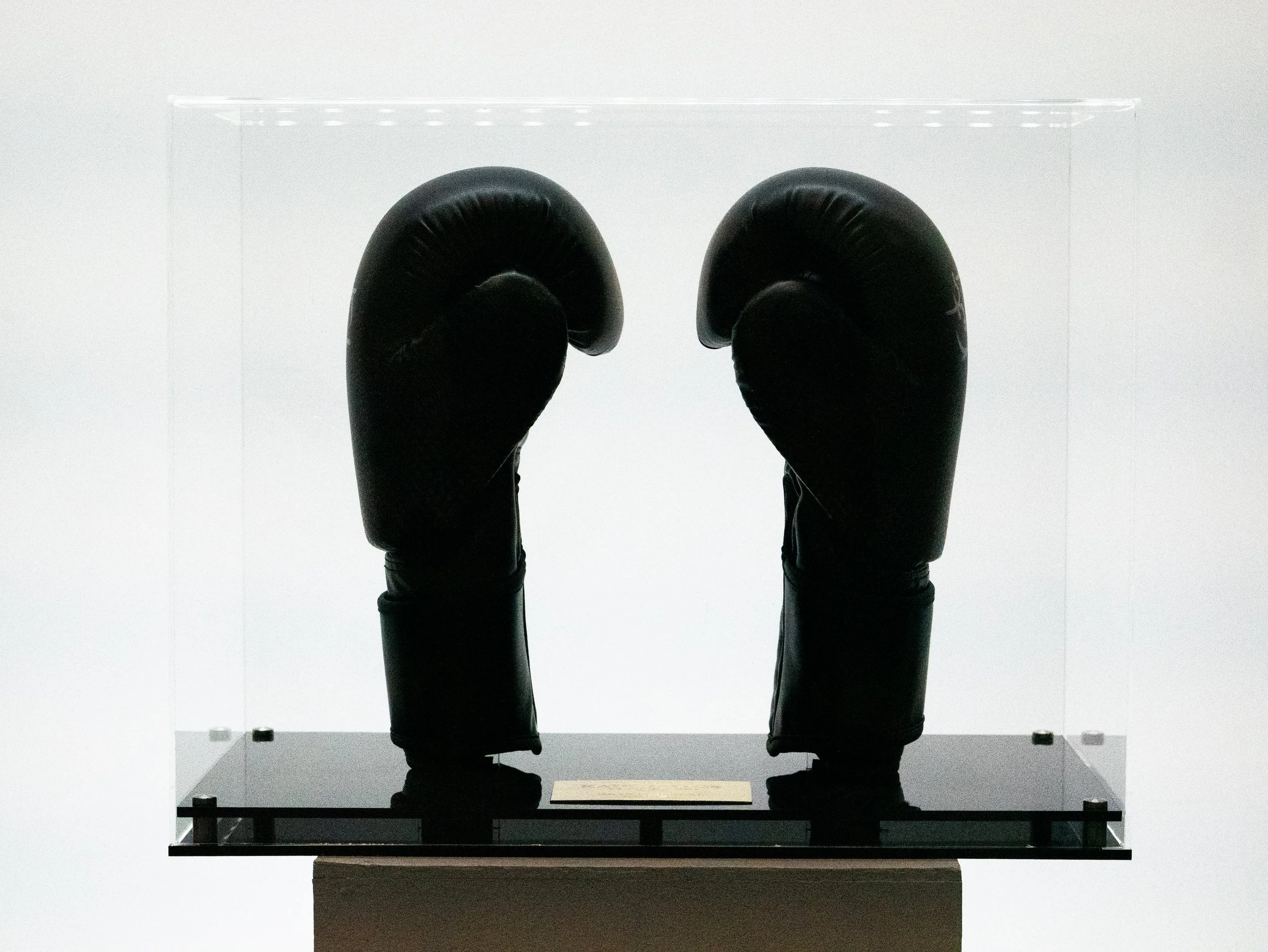PP_KT_Gloves-12.jpg