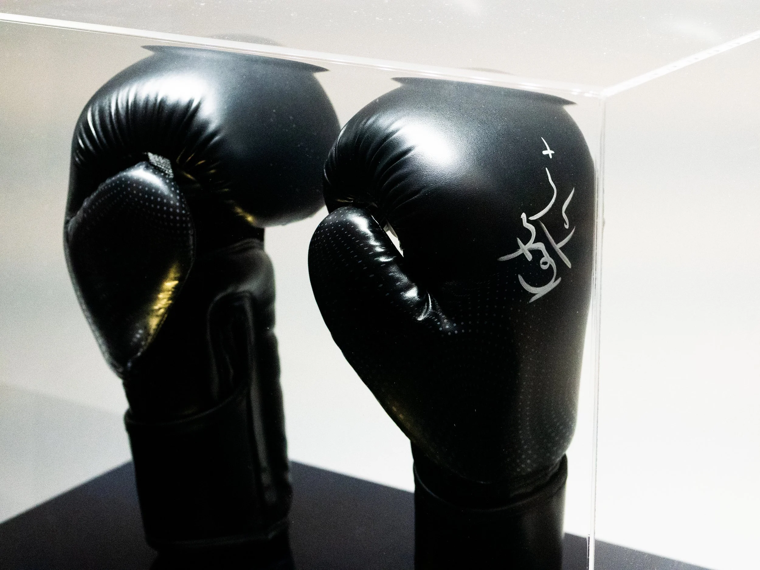 PP_KT_Gloves-7.jpg