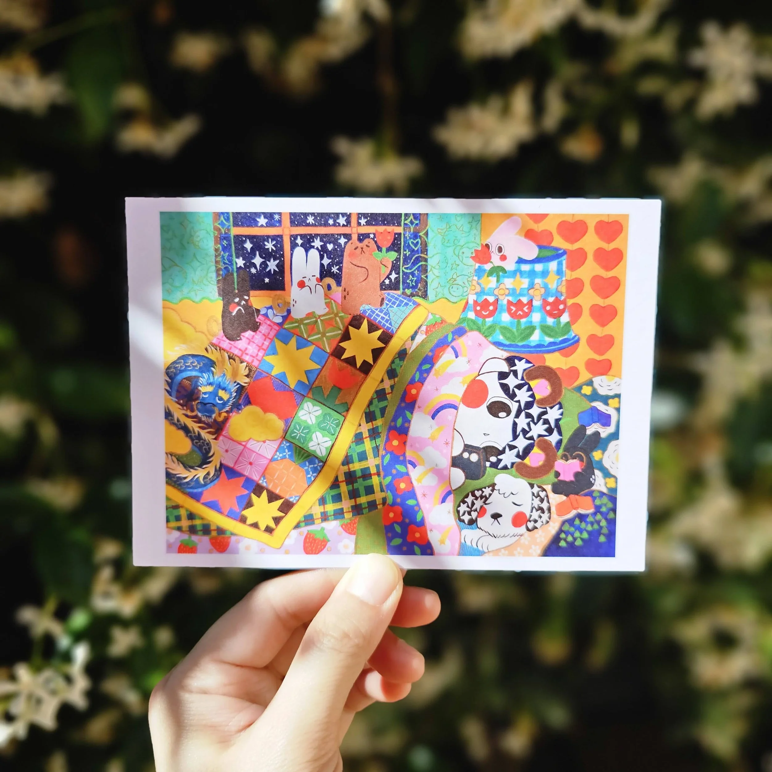 Blanket Rhapsody Postcard