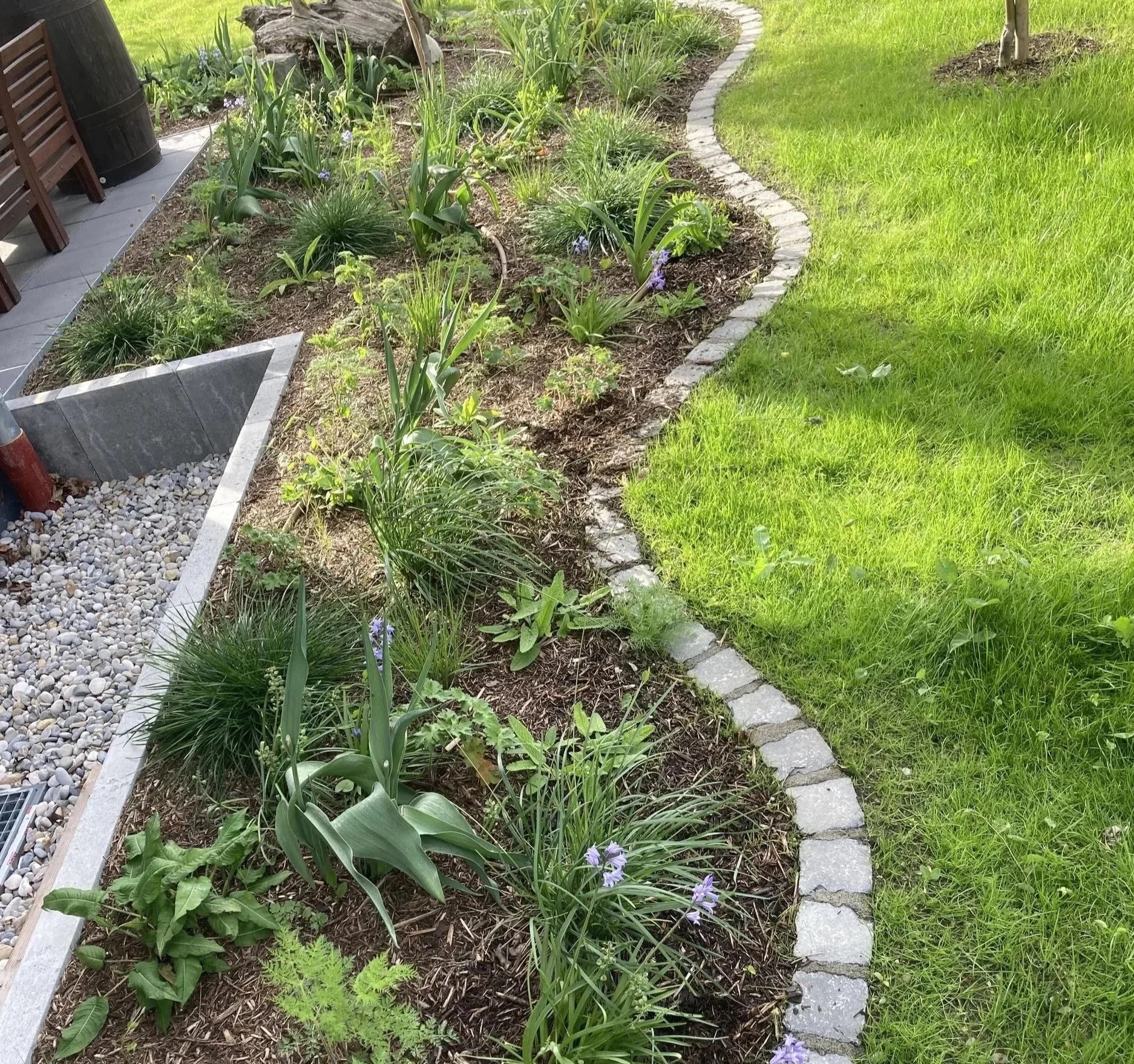 Garten mit Begrenzung durch Bogenpflastersteine, bepflanzt mit verschiedenen Stauden und Gräsern, daneben Rasen