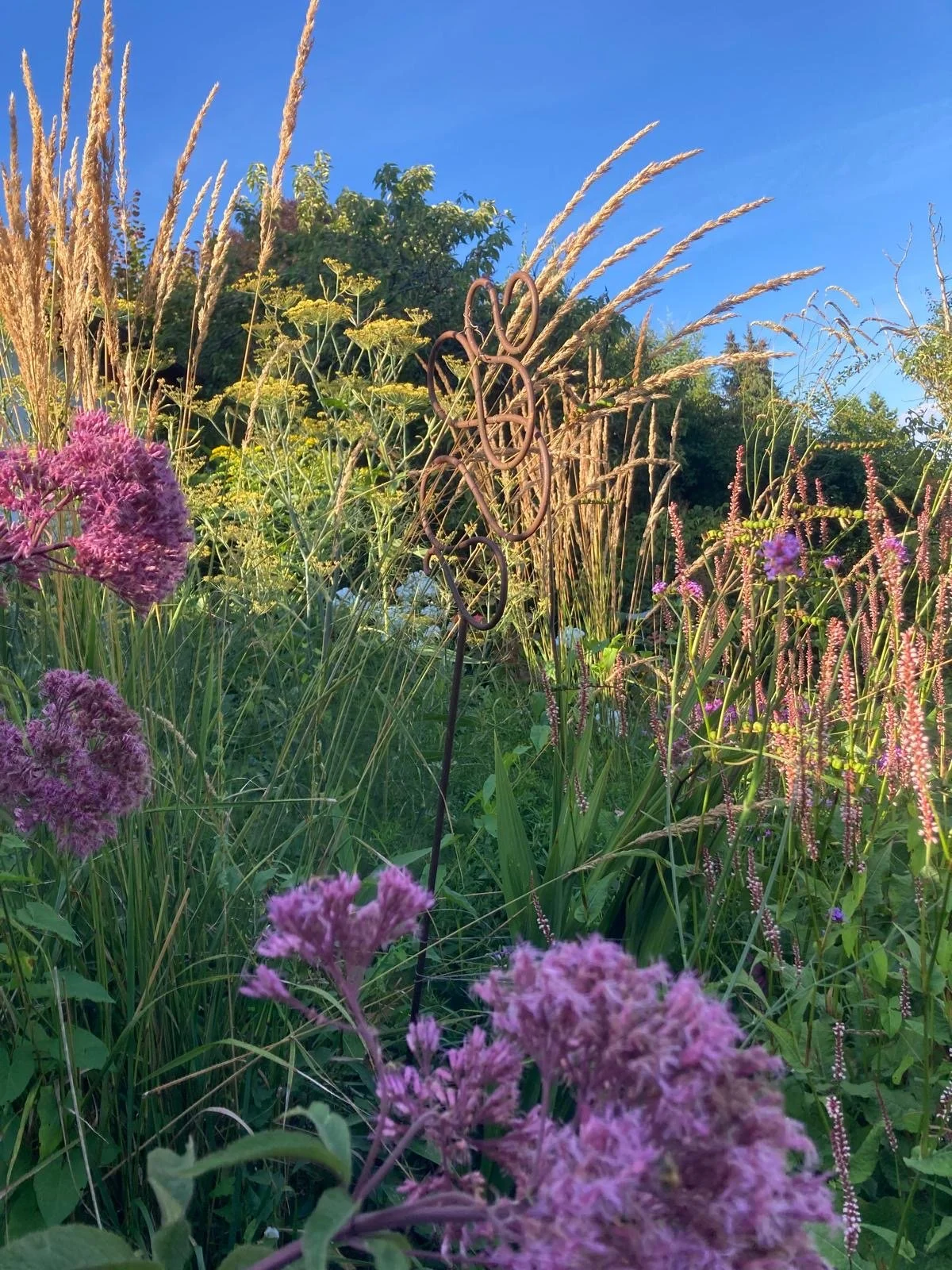 Bunter naturnaher Garten mit verschiedenen Stauden und Gräsern unter blauem Himmel.