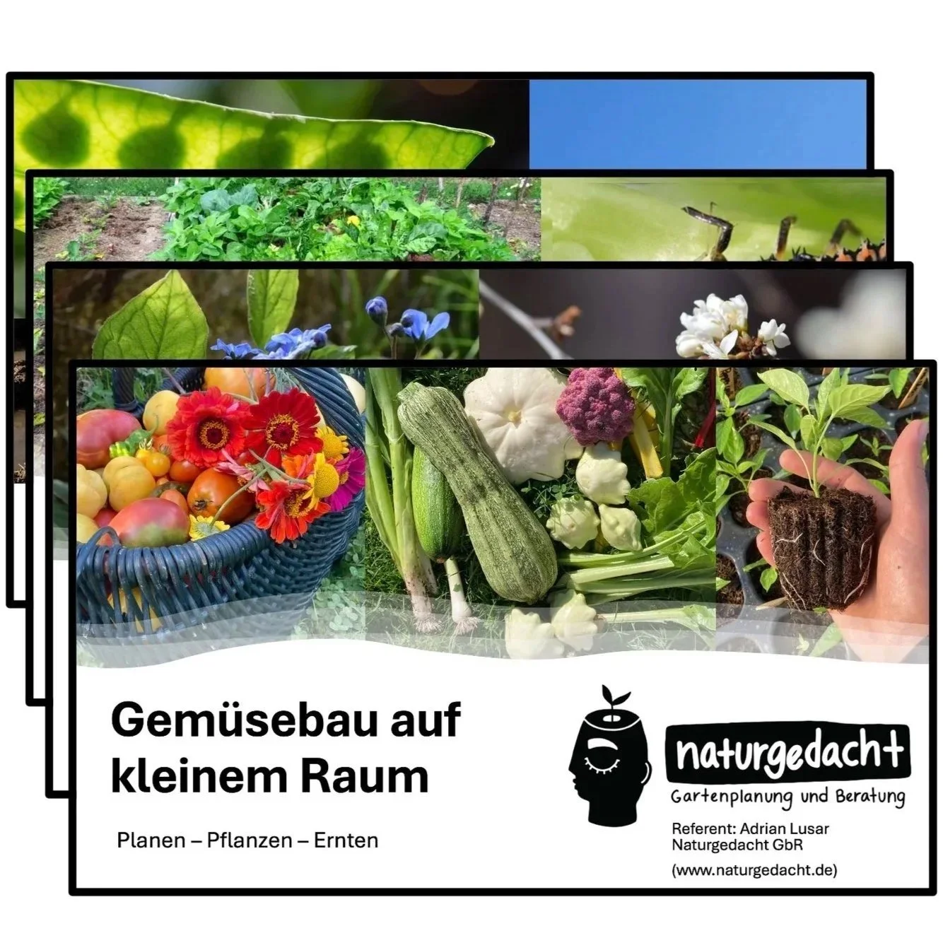 Vortragsfolien mit Bildern von Gemüse und Stauden, Überschrift 'Gemüsebau auf kleinem Raum' mit Logo 'naturgedacht', und Hinweis auf Gartenplanung und Beratung