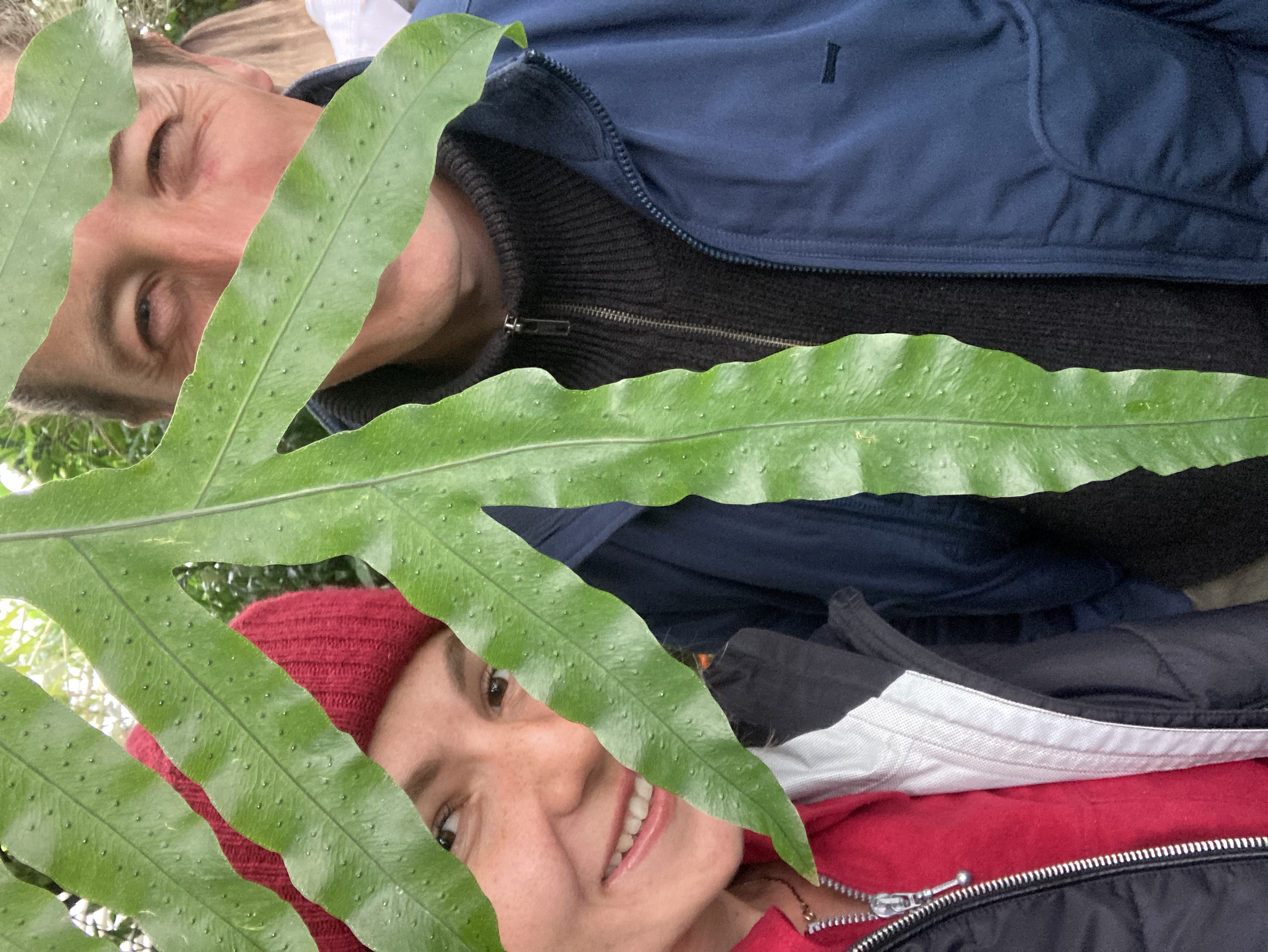 Zwei Menschen, ein Mann und eine Frau, stehen hinter großen grünen Blättern, die ihre Gesichter teilweise verdecken, und lächeln.