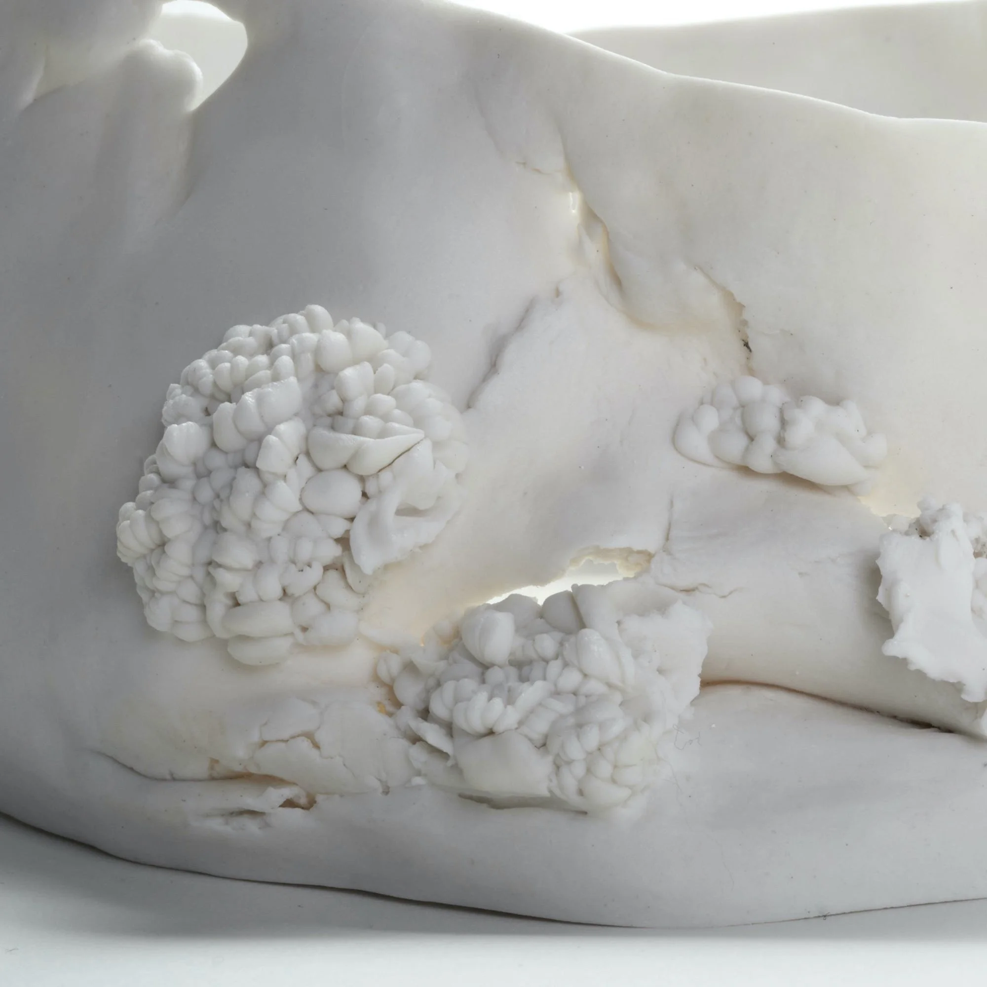 Gather, 2026 - detail