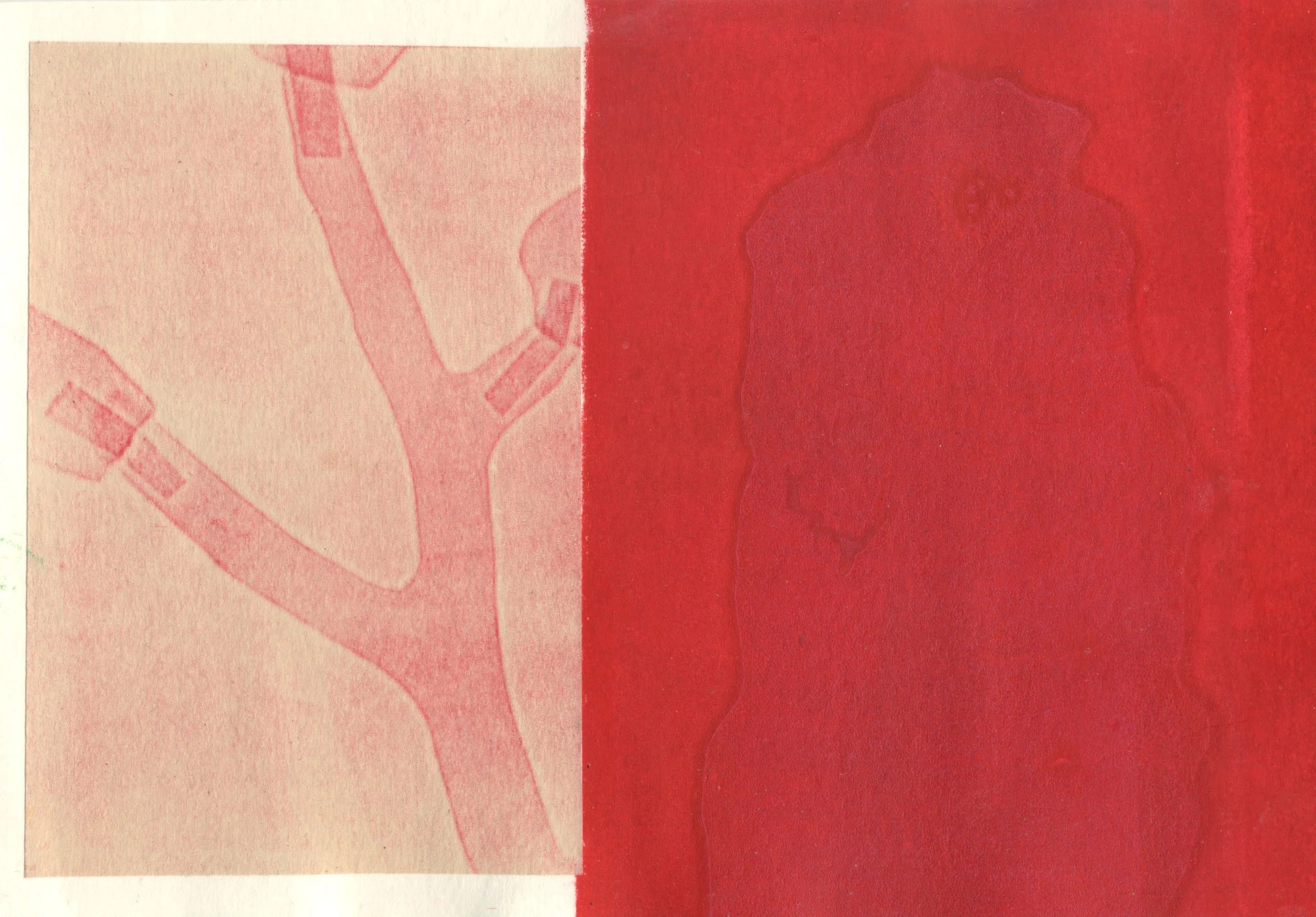 Red print divided.jpg