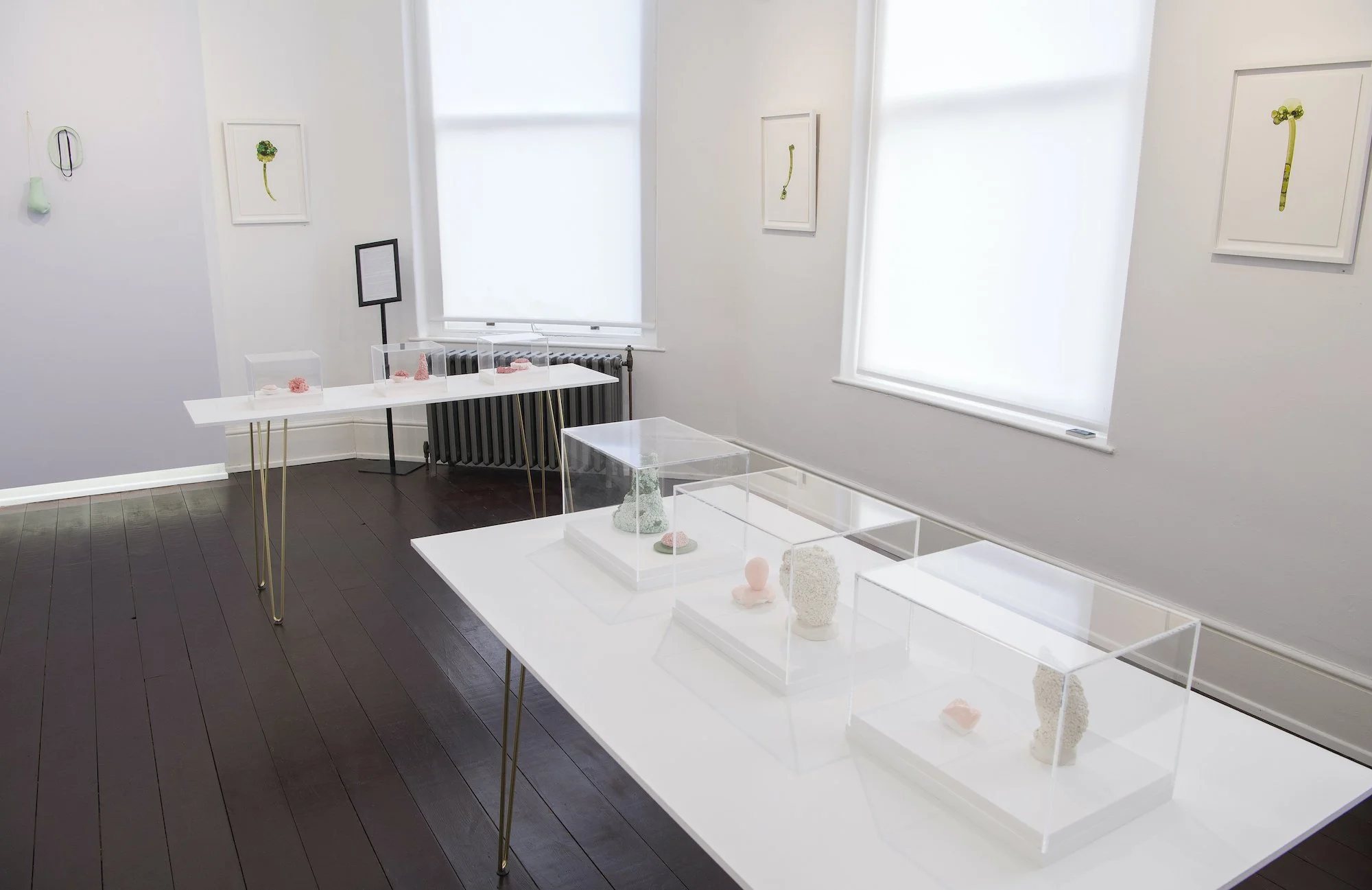 Anne Gibbs solo exhibition 2023.jpg