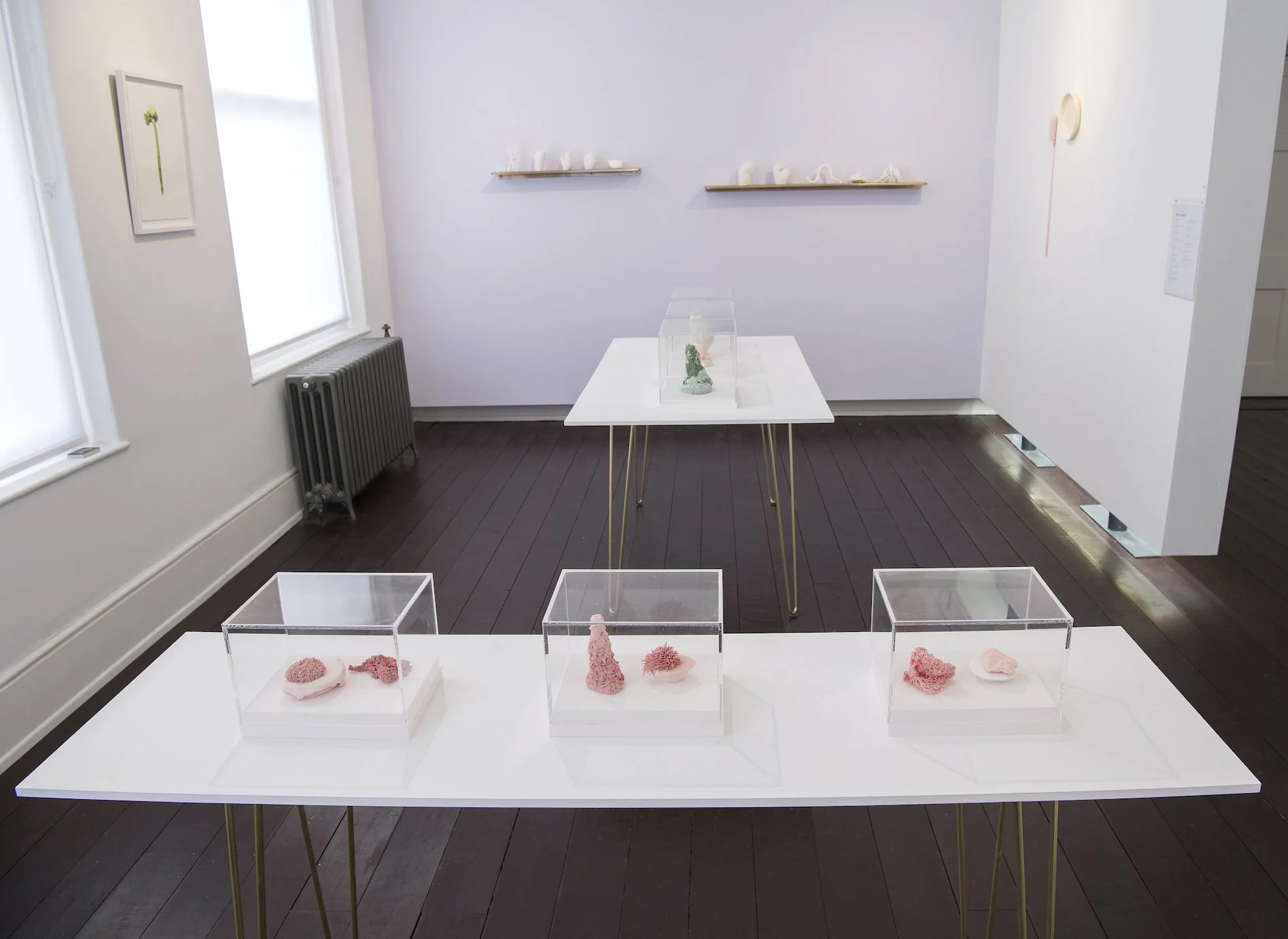 Anne Gibbs Sculptures 2023.jpg