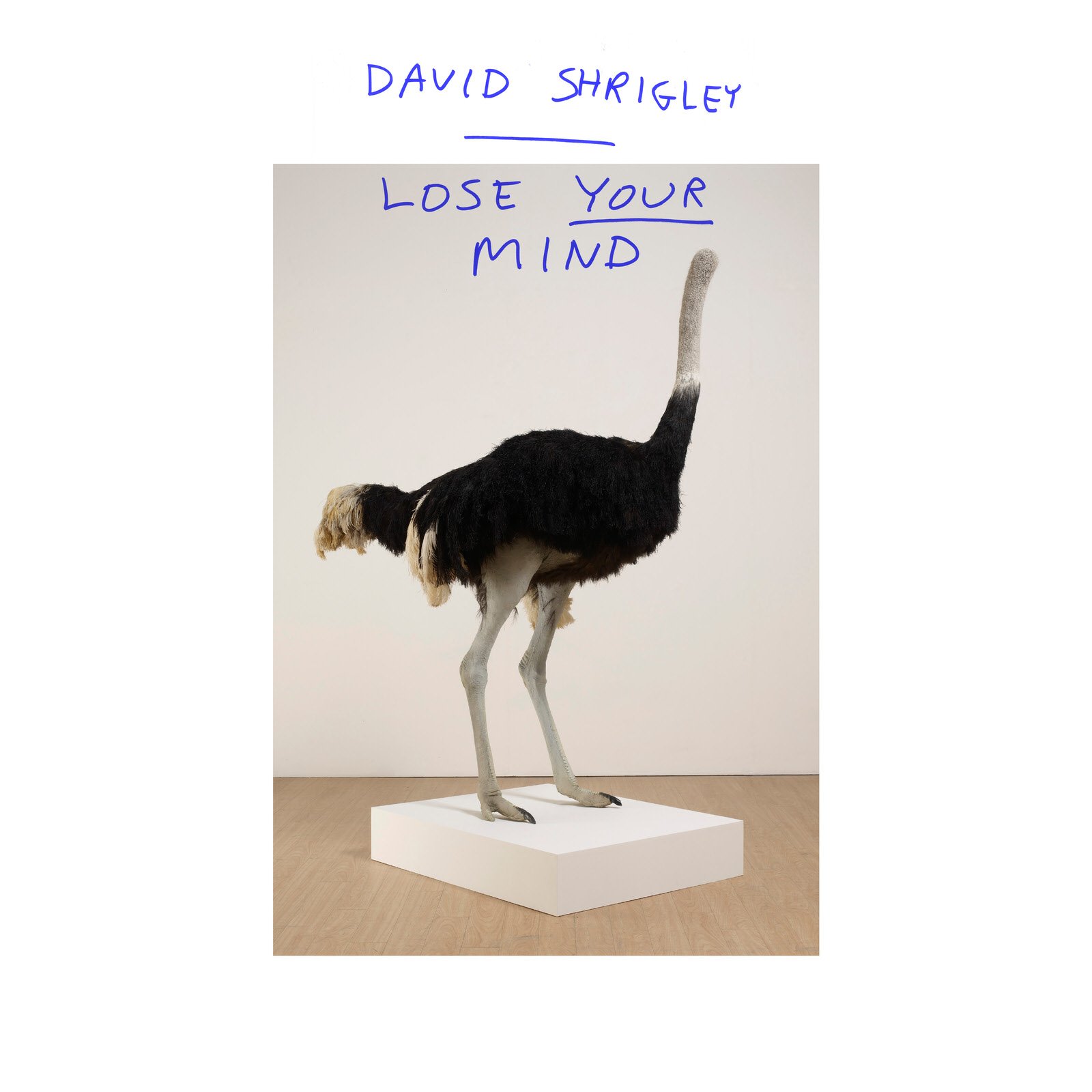 brochure-design-uk-david-shrigley-ilikeblue-2174.JPG
