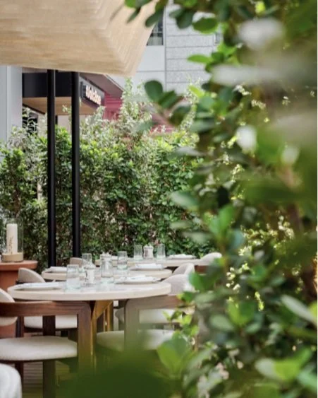 Avli by tashas