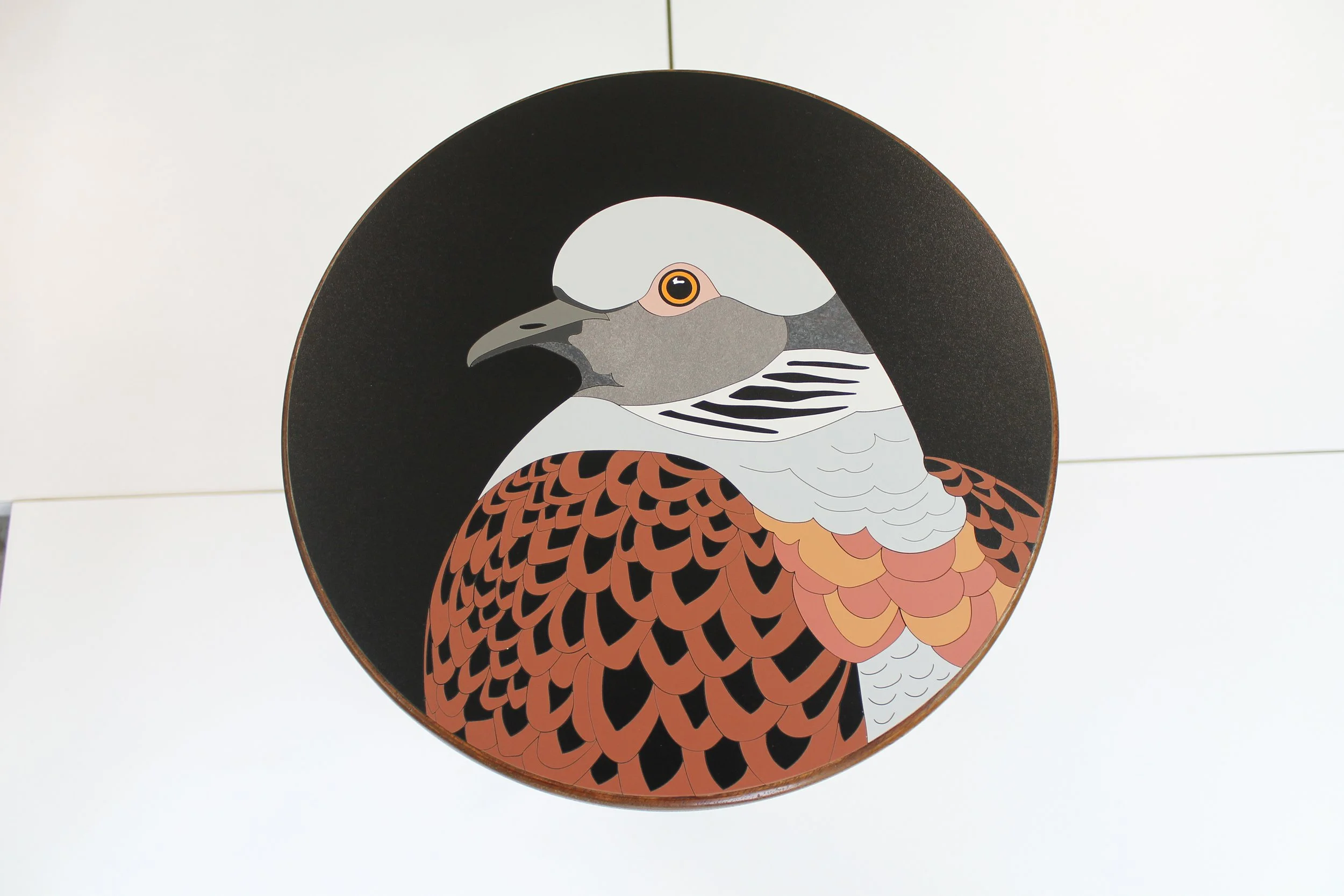 turtle dove lucy turner 5 .jpg