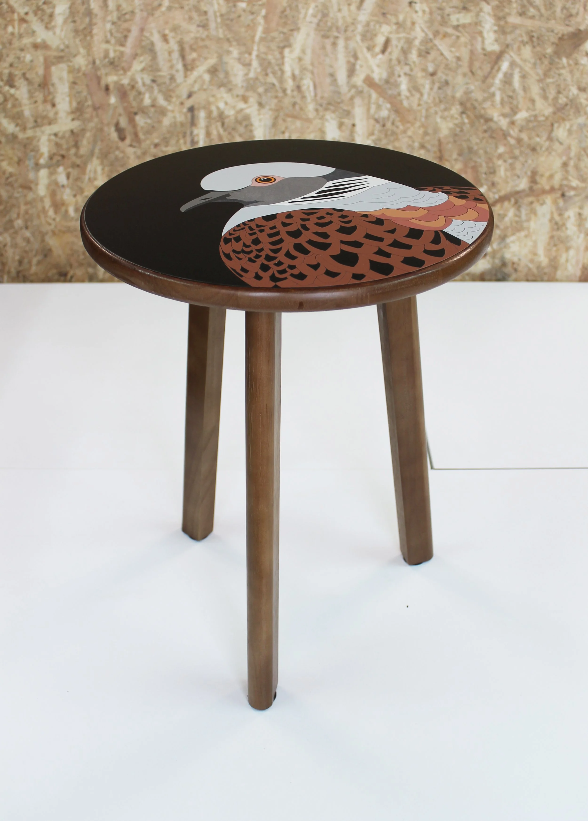 turtle dove lucy turner 8.jpg