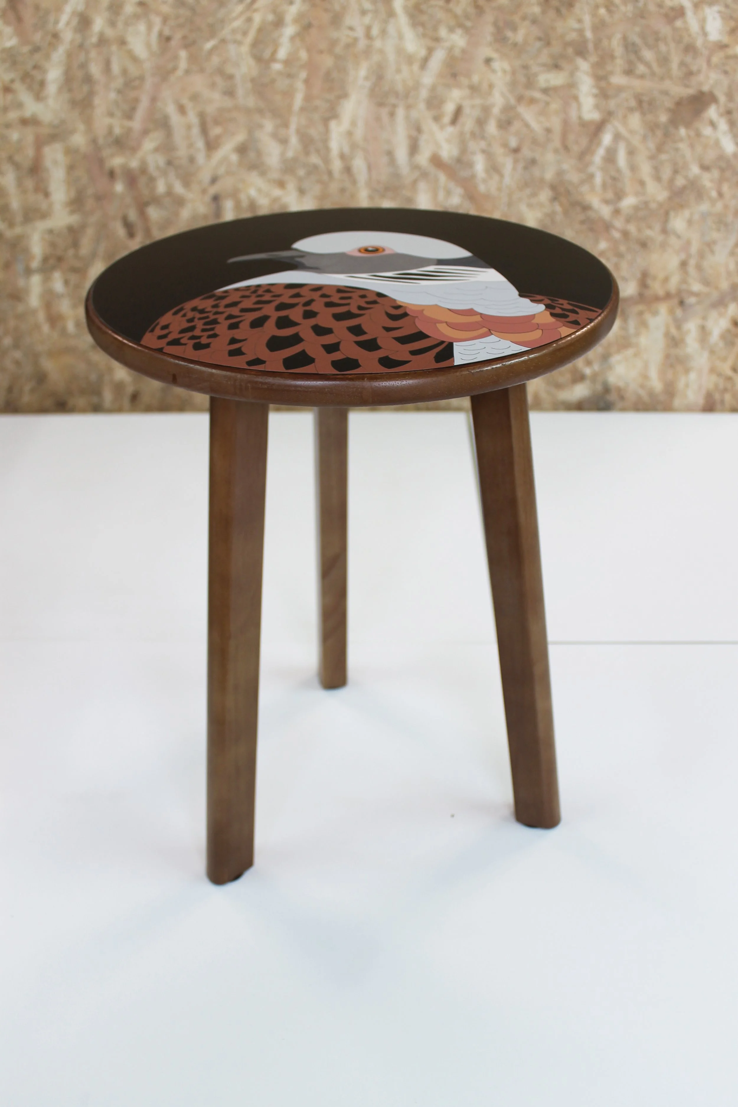 turtle dove lucy turner 7.jpg