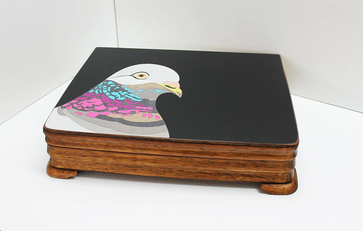 pidge box 14.jpg