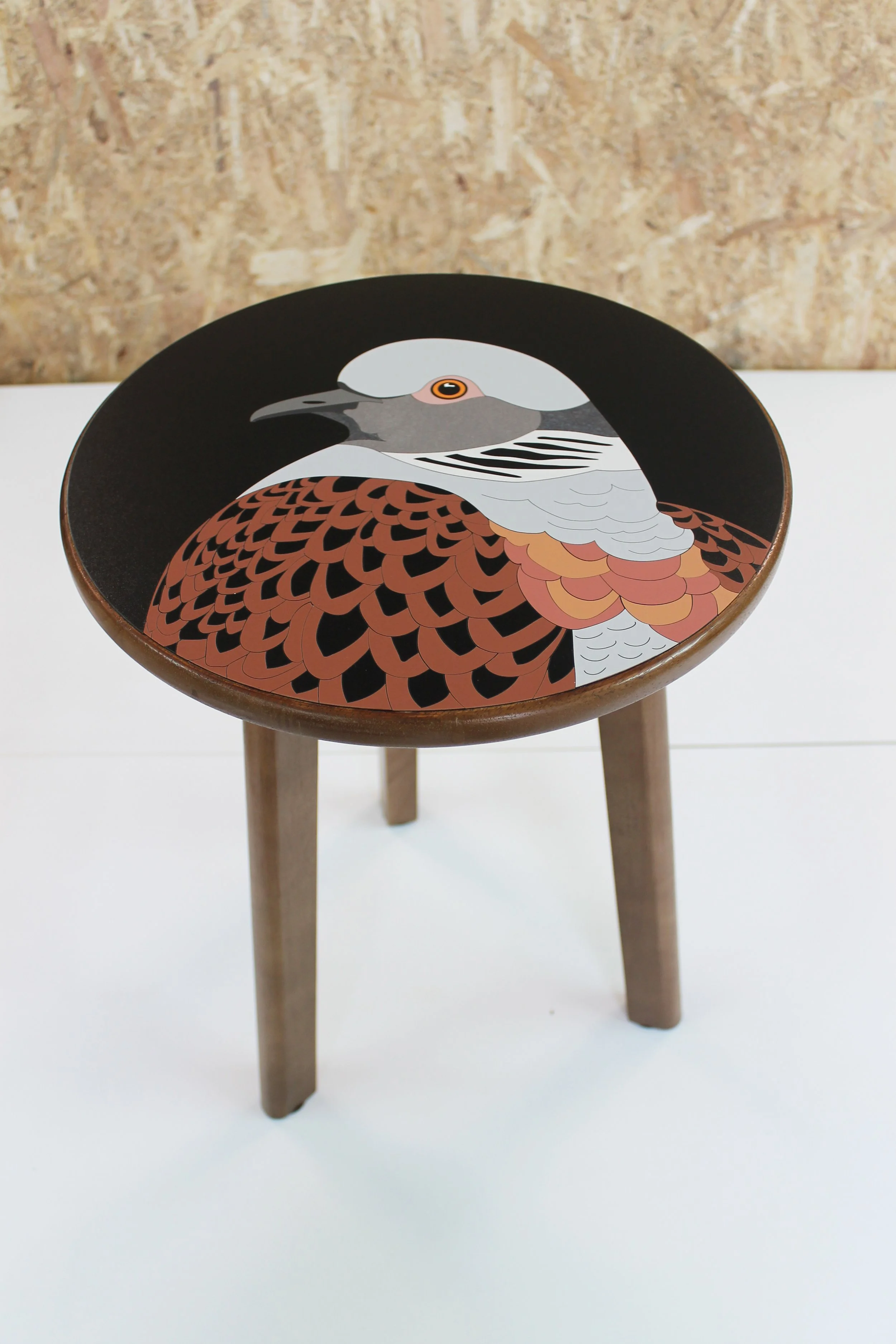 turtle dove 6 lucy turner.jpg