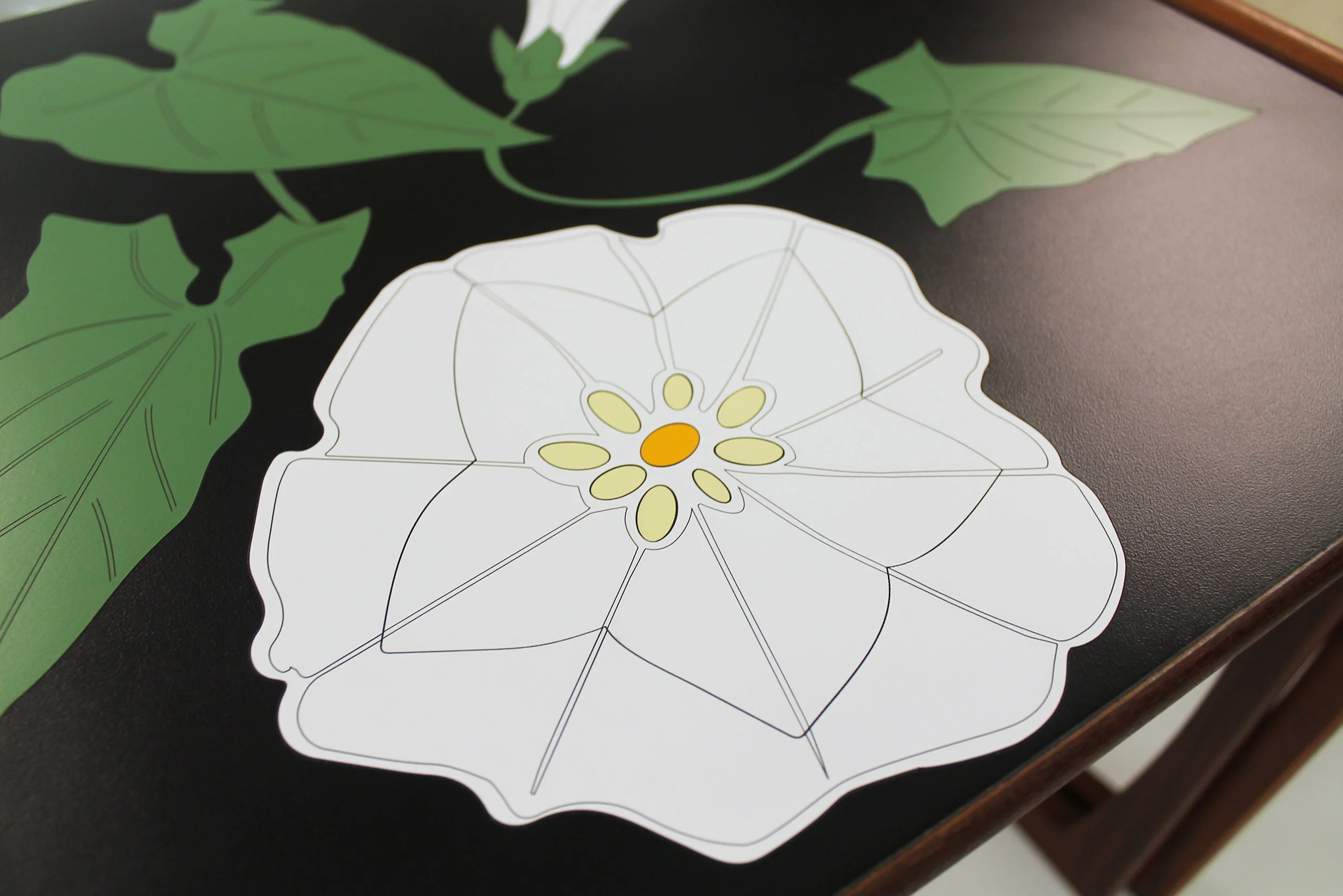 bindweed table 7.jpg