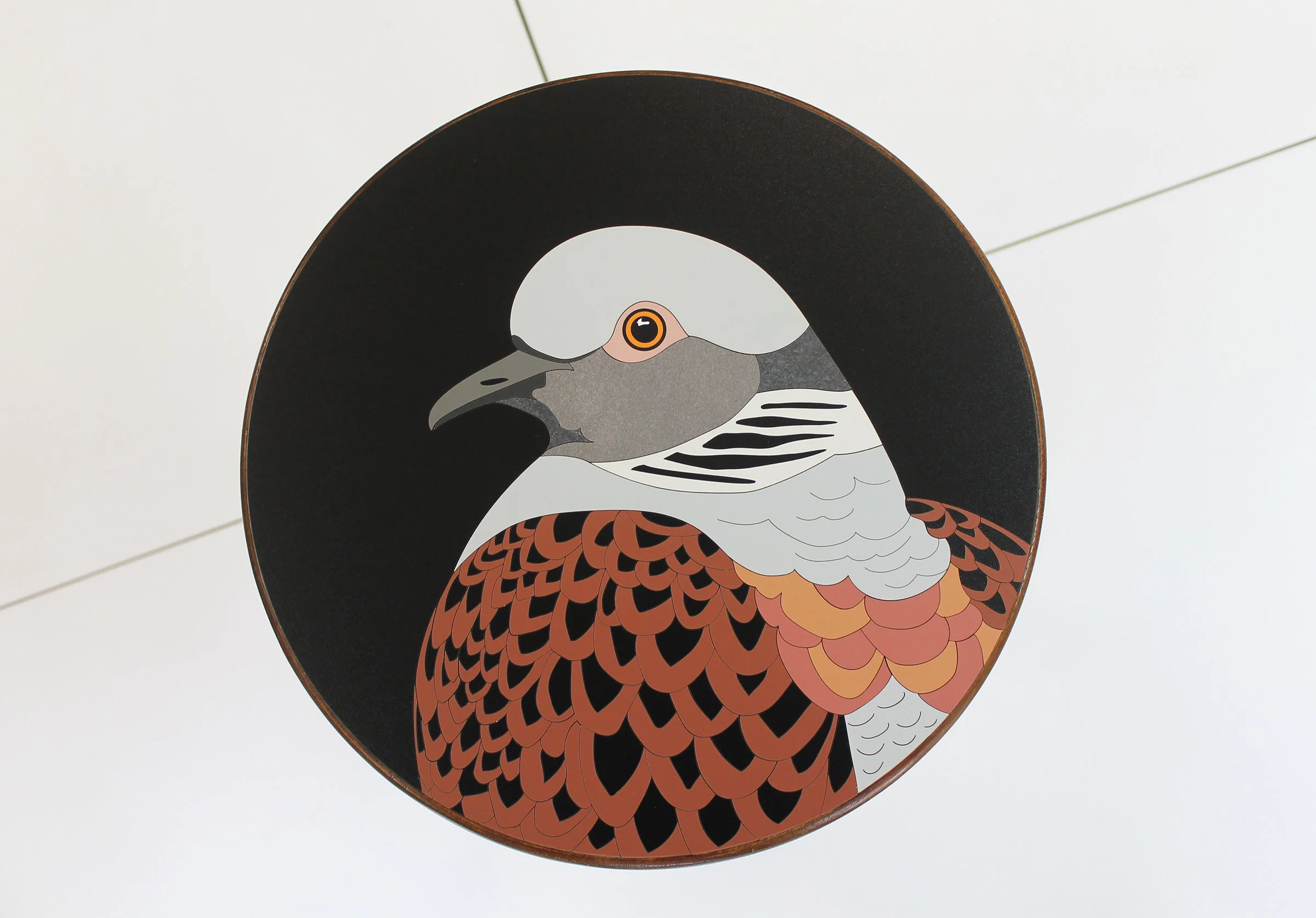 turtle dove lucy turner 1.jpg