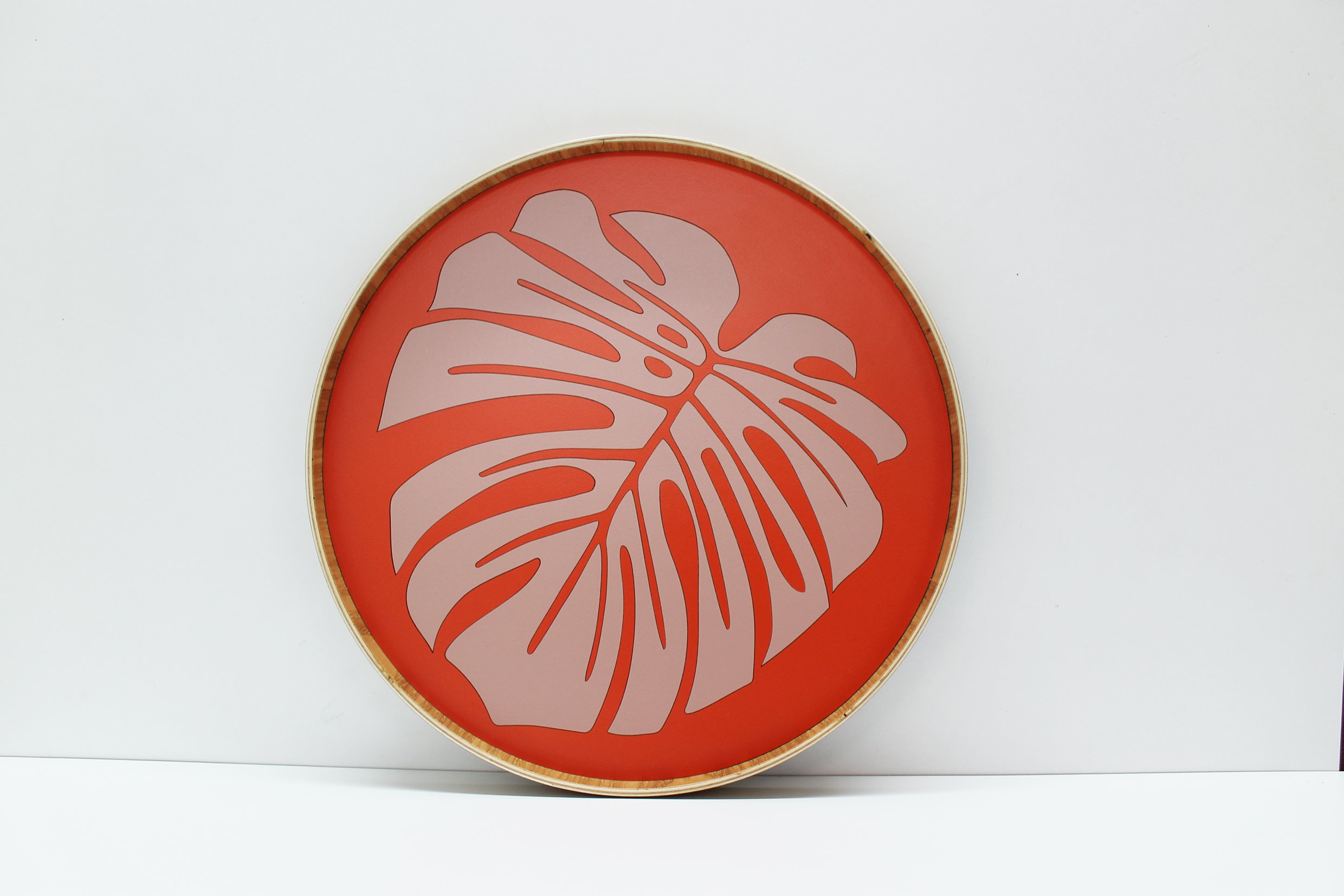 clementime monstera 3.jpg