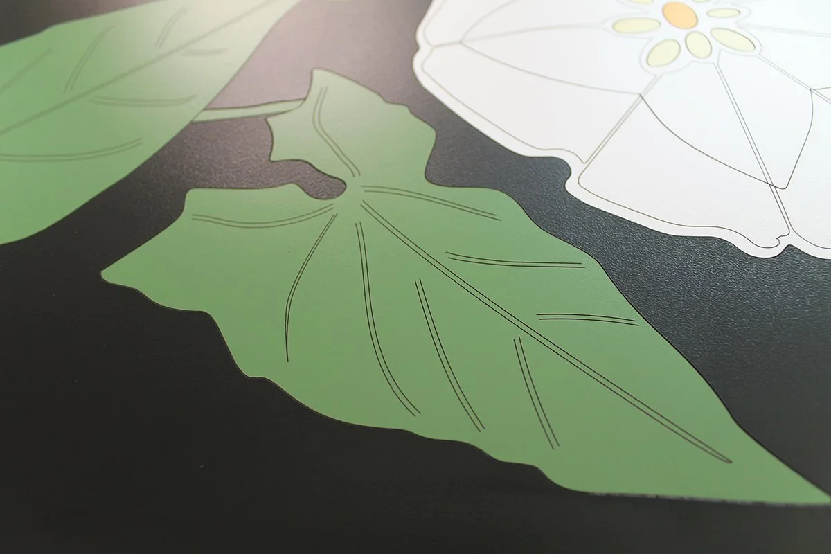 bindweed table 6.jpg