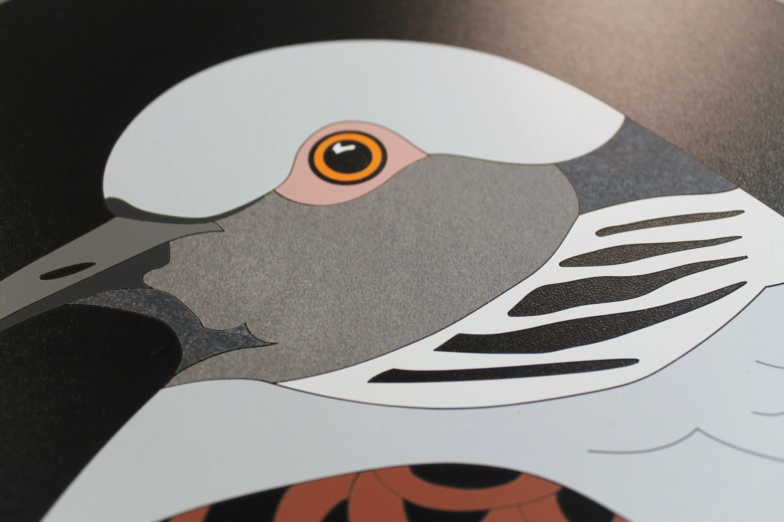 turtle dove lucy turner 4.jpg