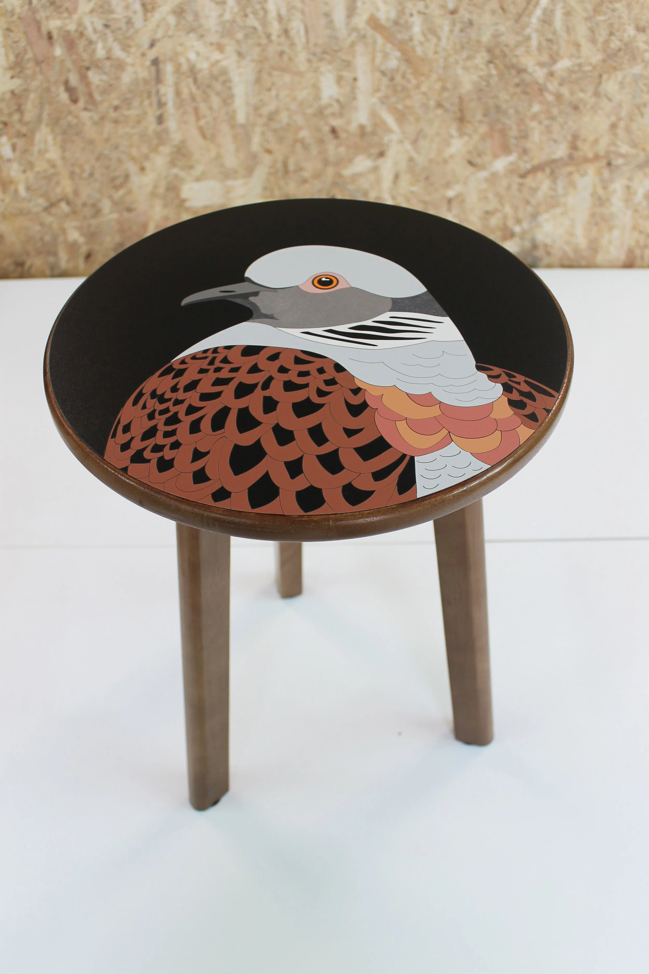 turtle dove lucy turner 9.jpg