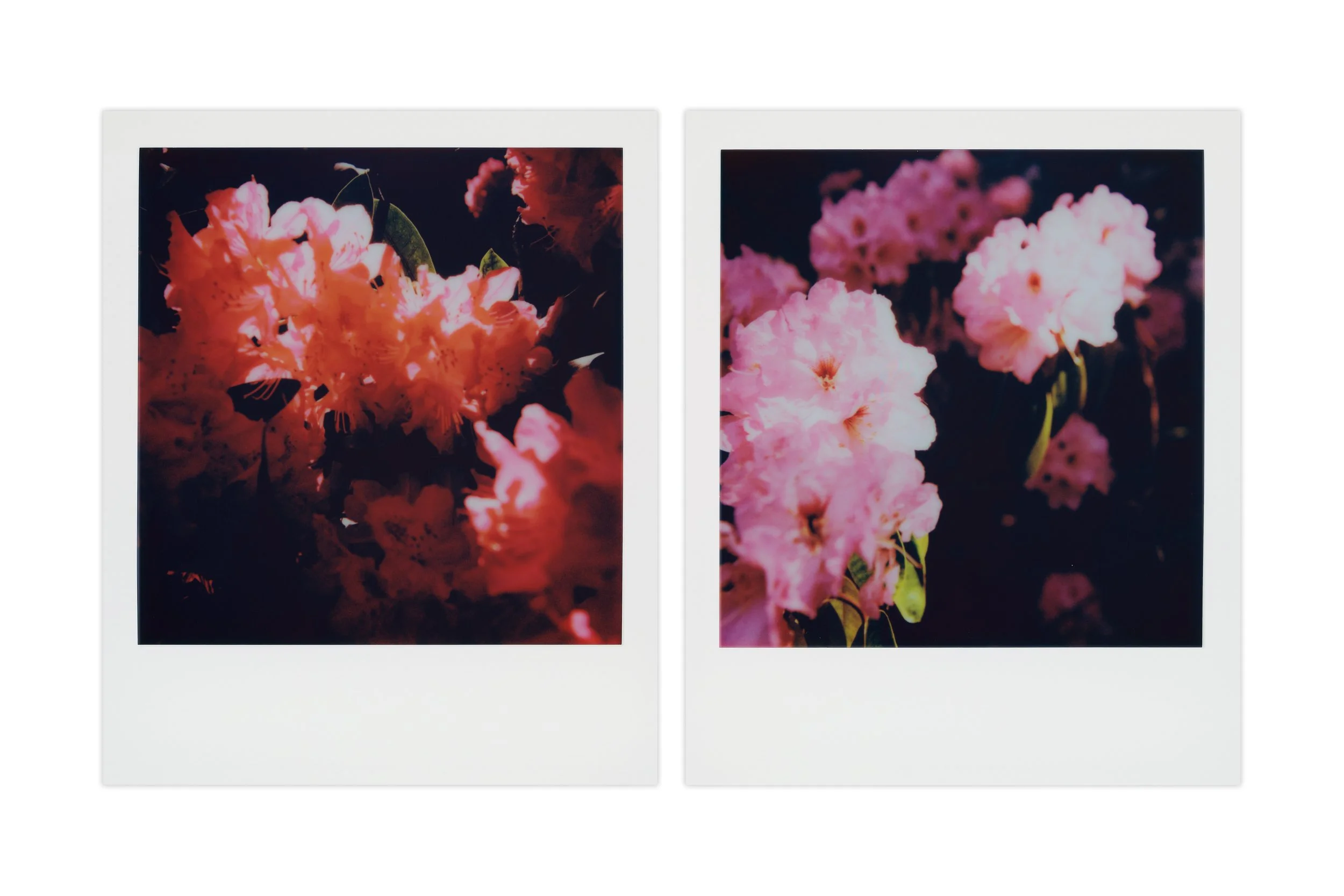 diptych 3_1.jpg