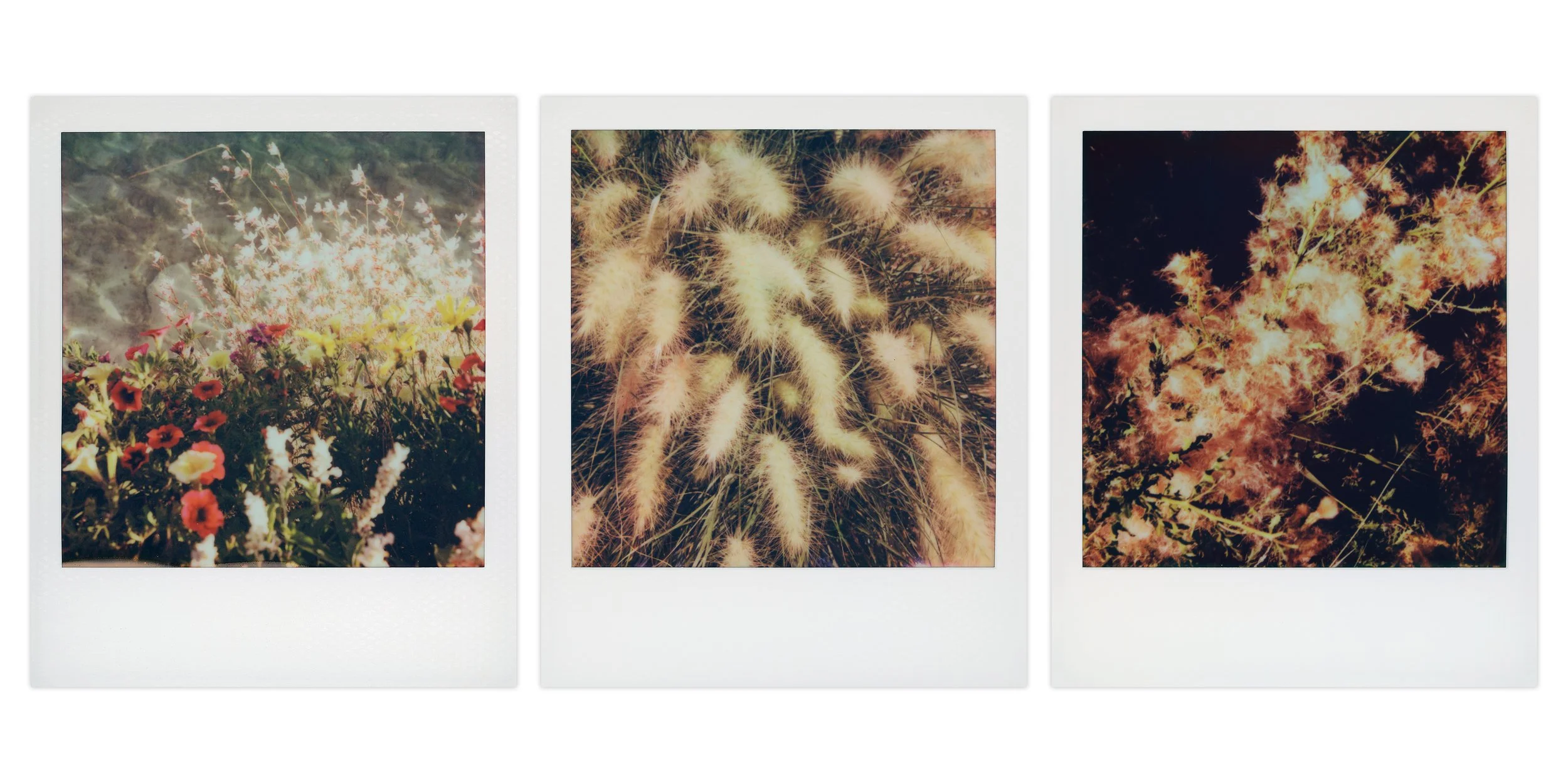triptych_presentation_your breath.jpg