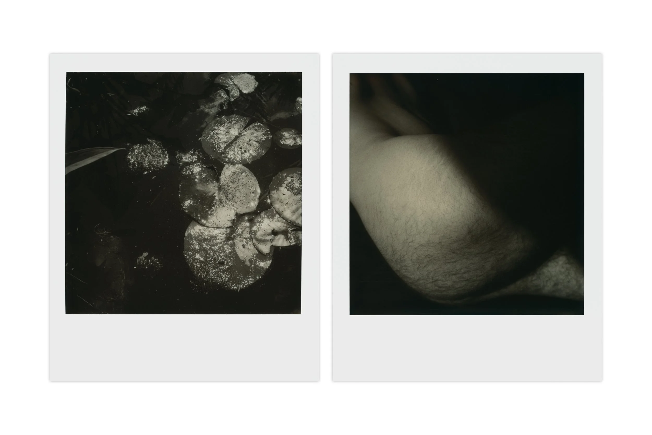 diptych_mørkt.jpg