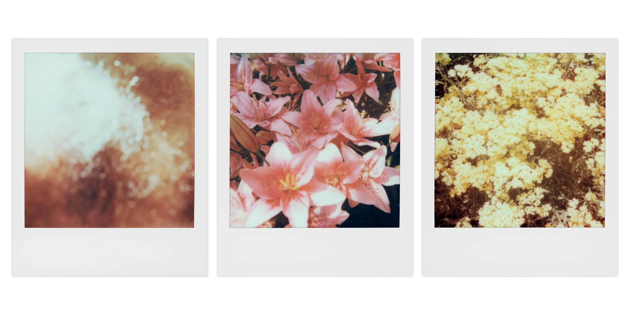 light triptych 2nd version.jpg