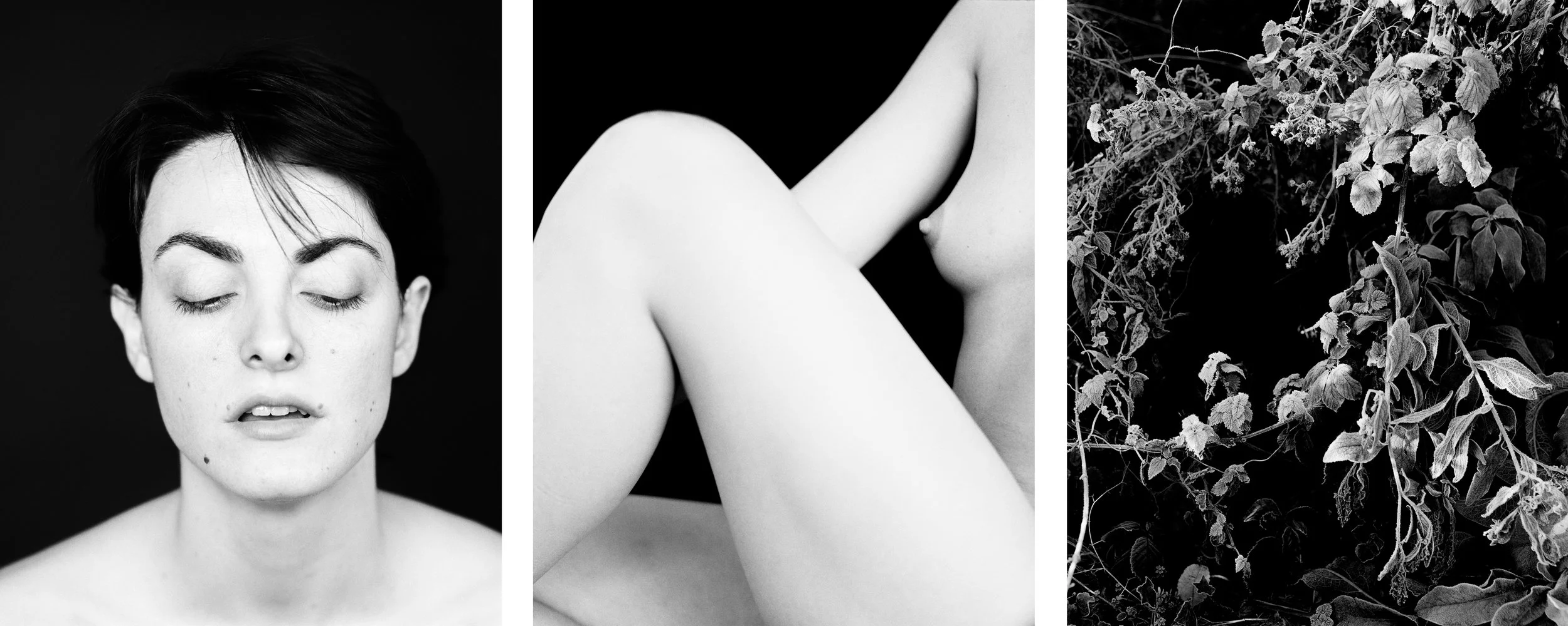 triptych 1_2.jpg