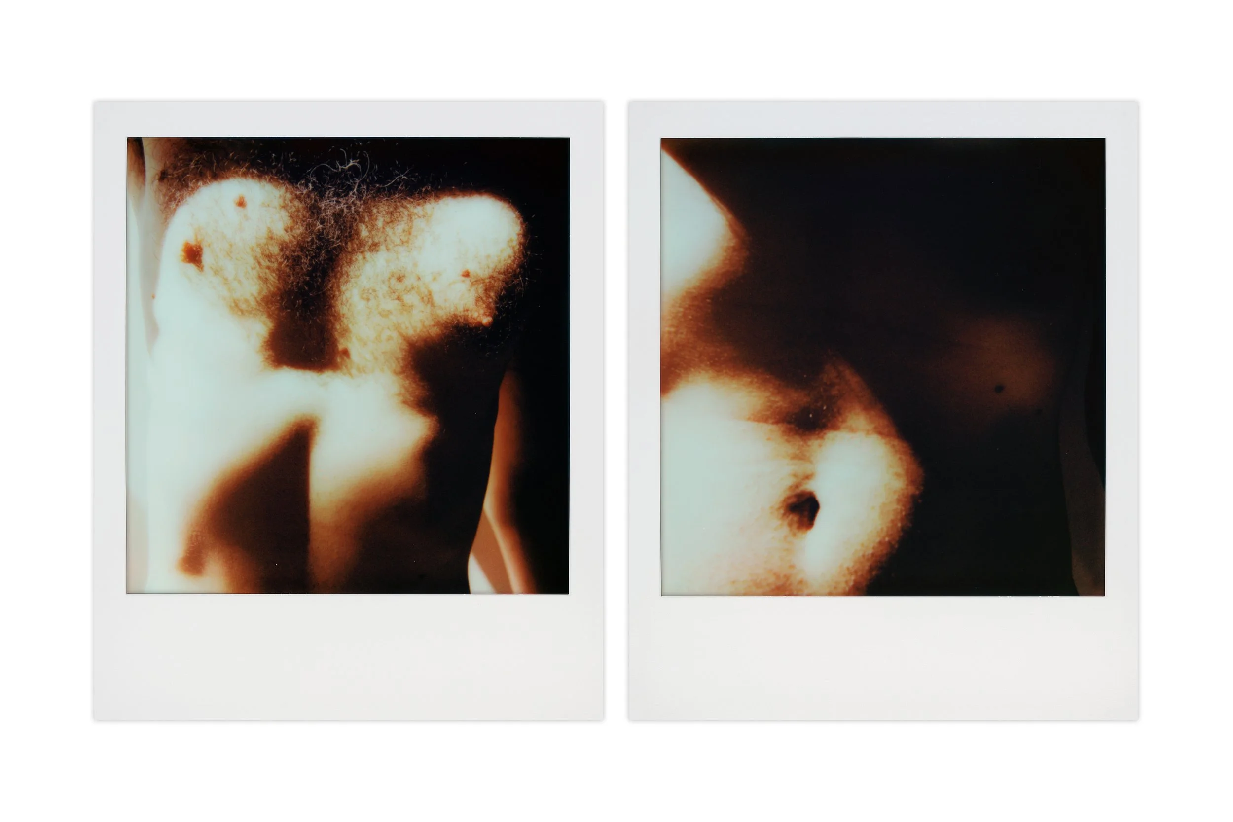 diptych_2.jpg