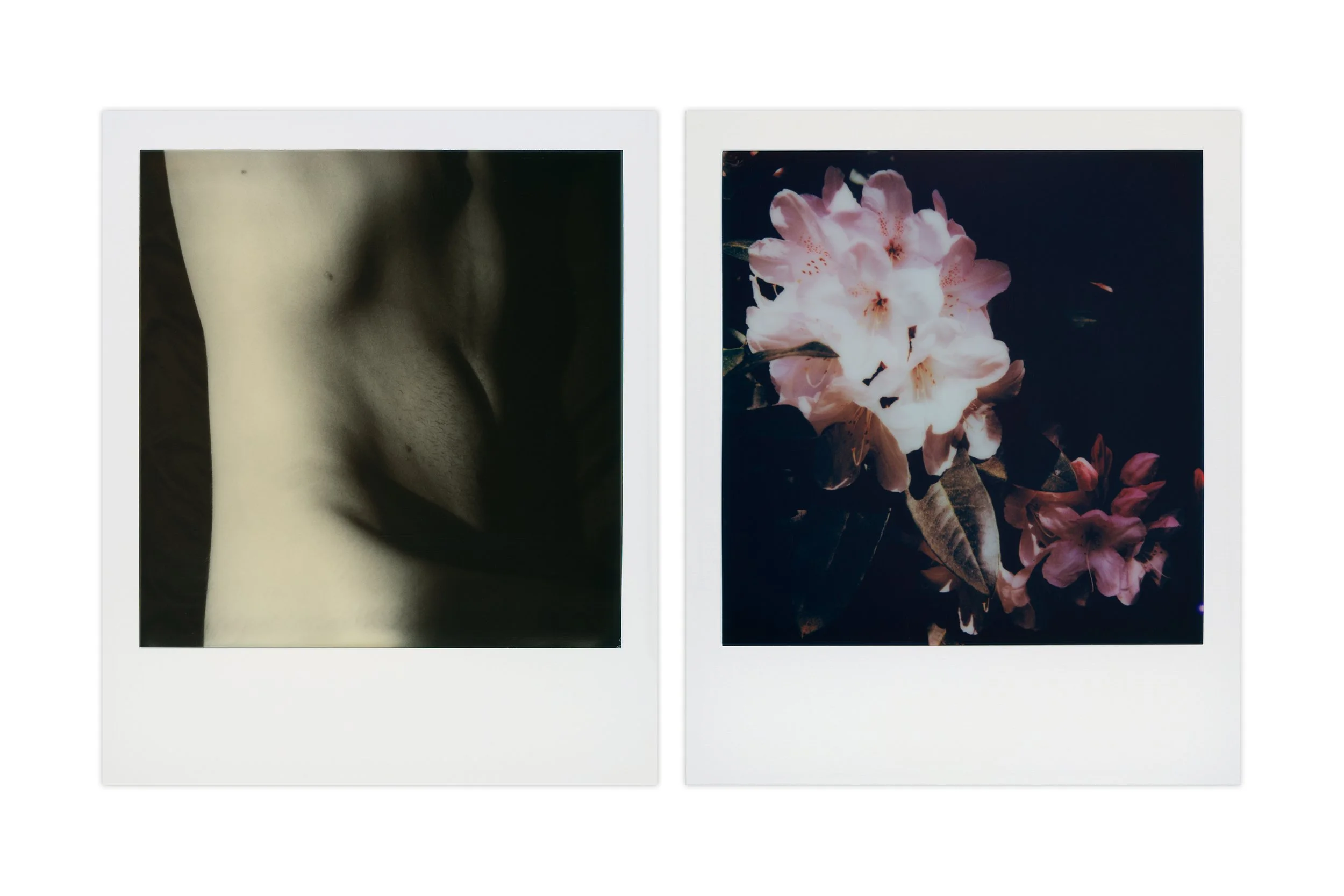 diptych_1.jpg