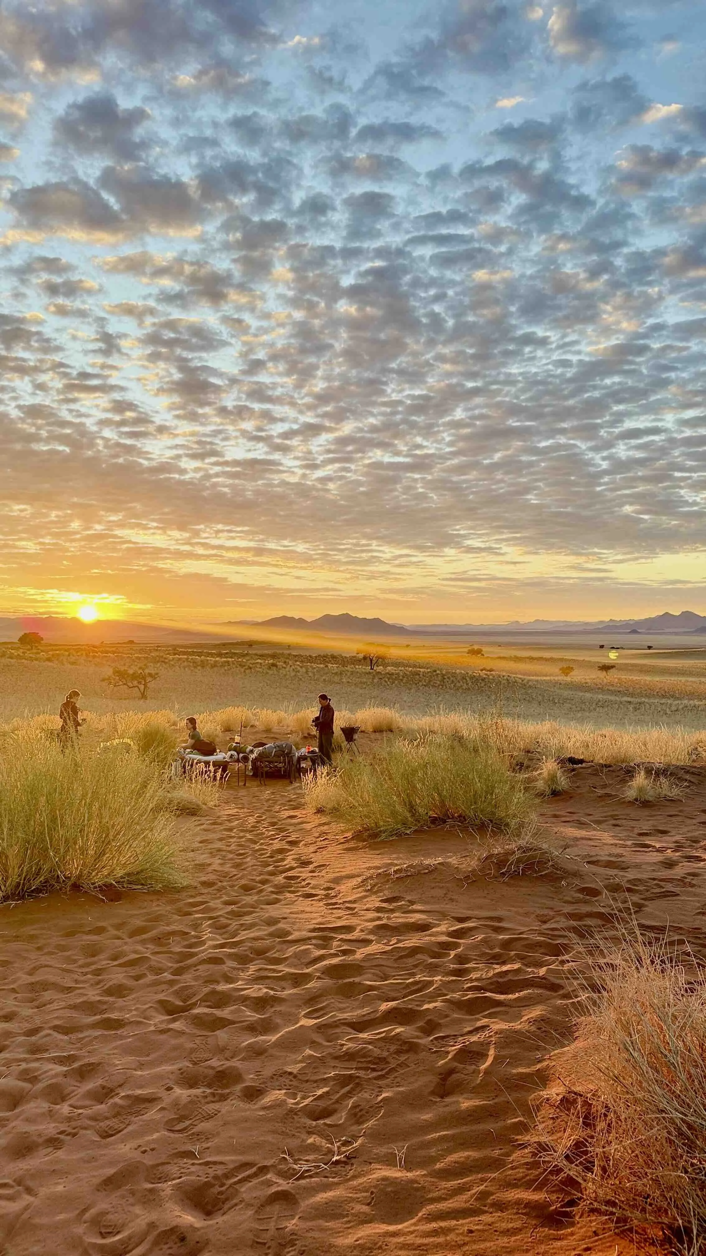 YogaRetreatNamibiaAfricaTokTokkieTrail2.jpg