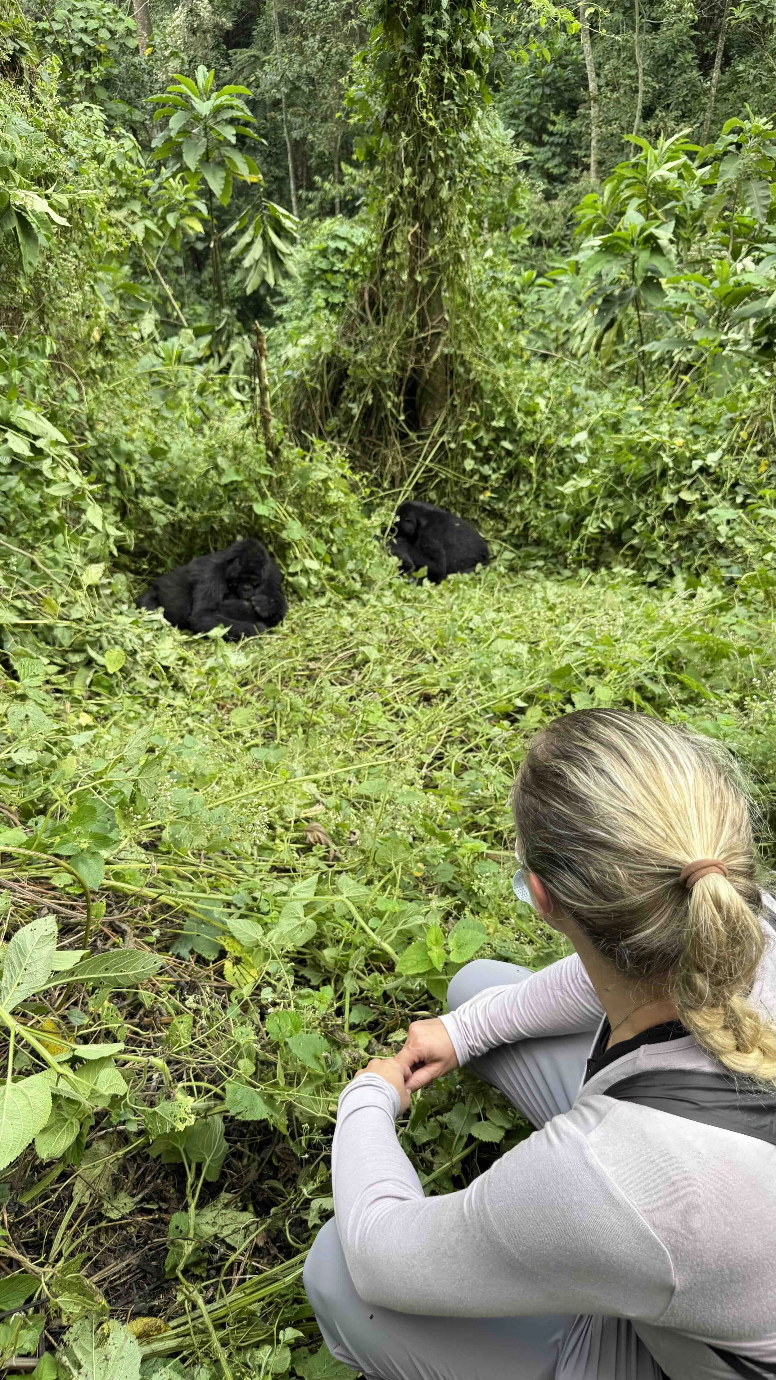 GorillTrekkingUganda