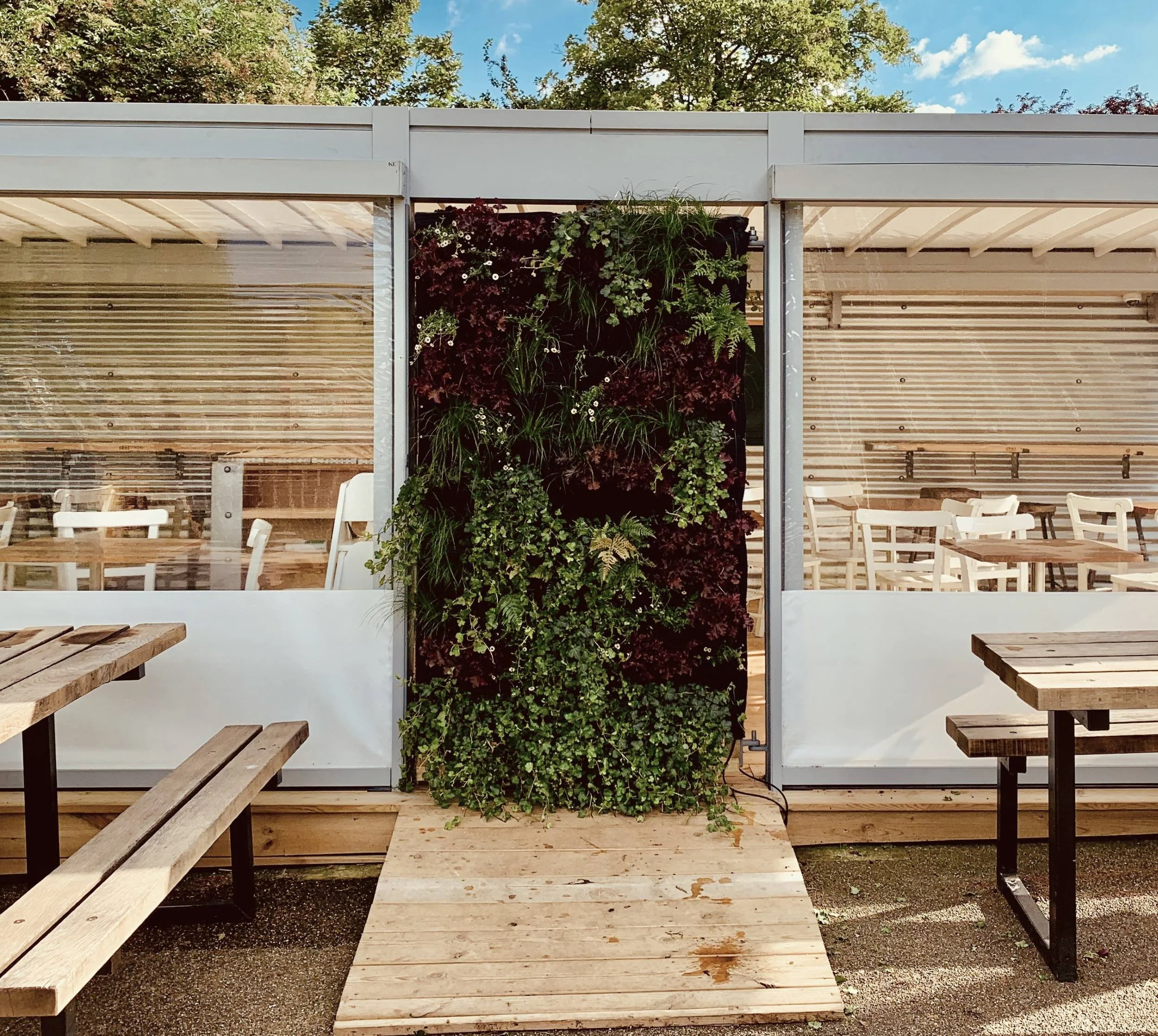 Planted living wall door in the gazebo decking at Radnor Gardens Cafe, Twickenham, planted on both sides with Heuchera, ferns and ivy
