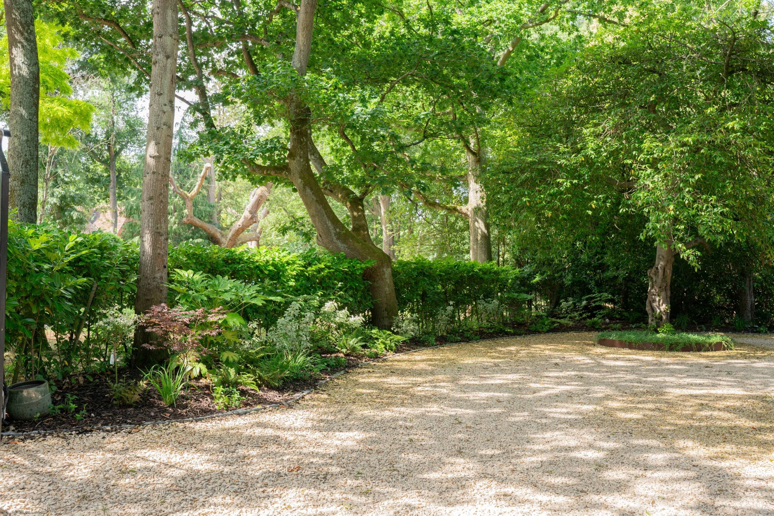 Gravel drive under mature trees with front garden planting, Weybridge