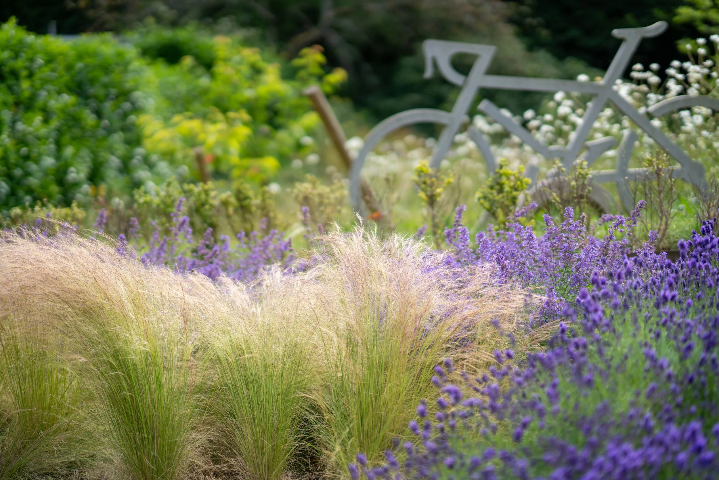 A garden scene with purple flowers and tall green grasses in the foreground, and a decorative white bicycle sculpture among bushes and white flowers in the background.