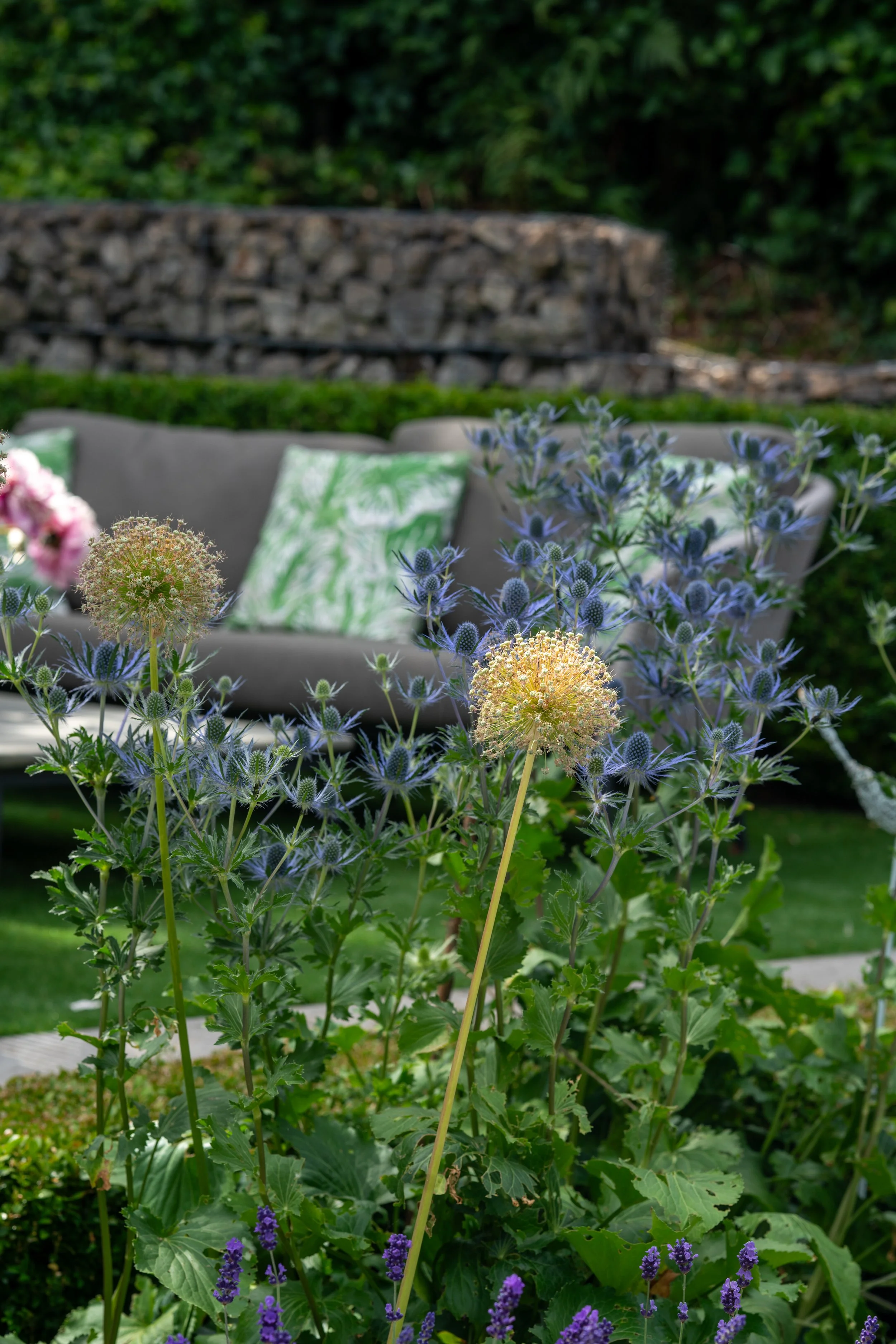 ThePlantHunter-Garden-Design-61.jpg