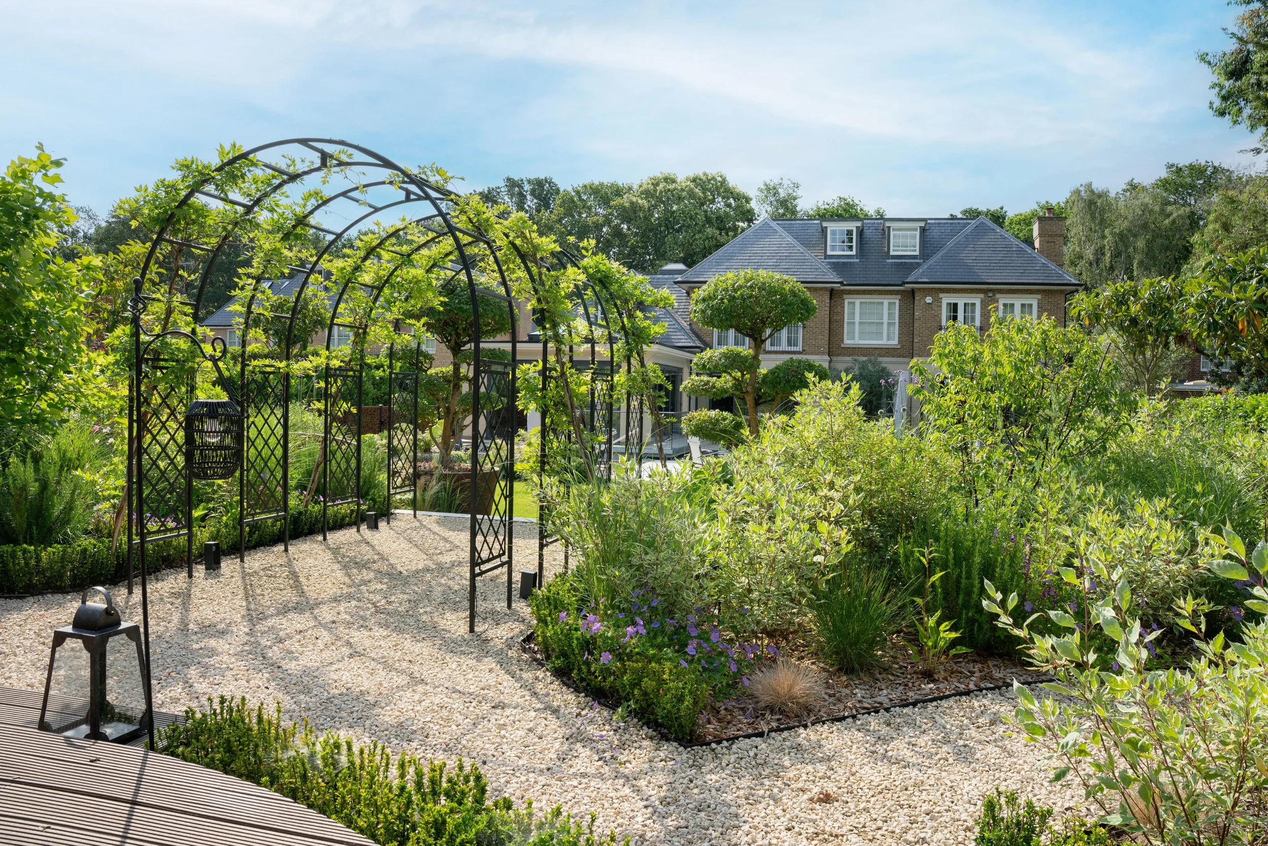 Gravel path through deep planted borders with Phlomis and ornamental grasses in an irrigation-led garden in Cobham, Surrey