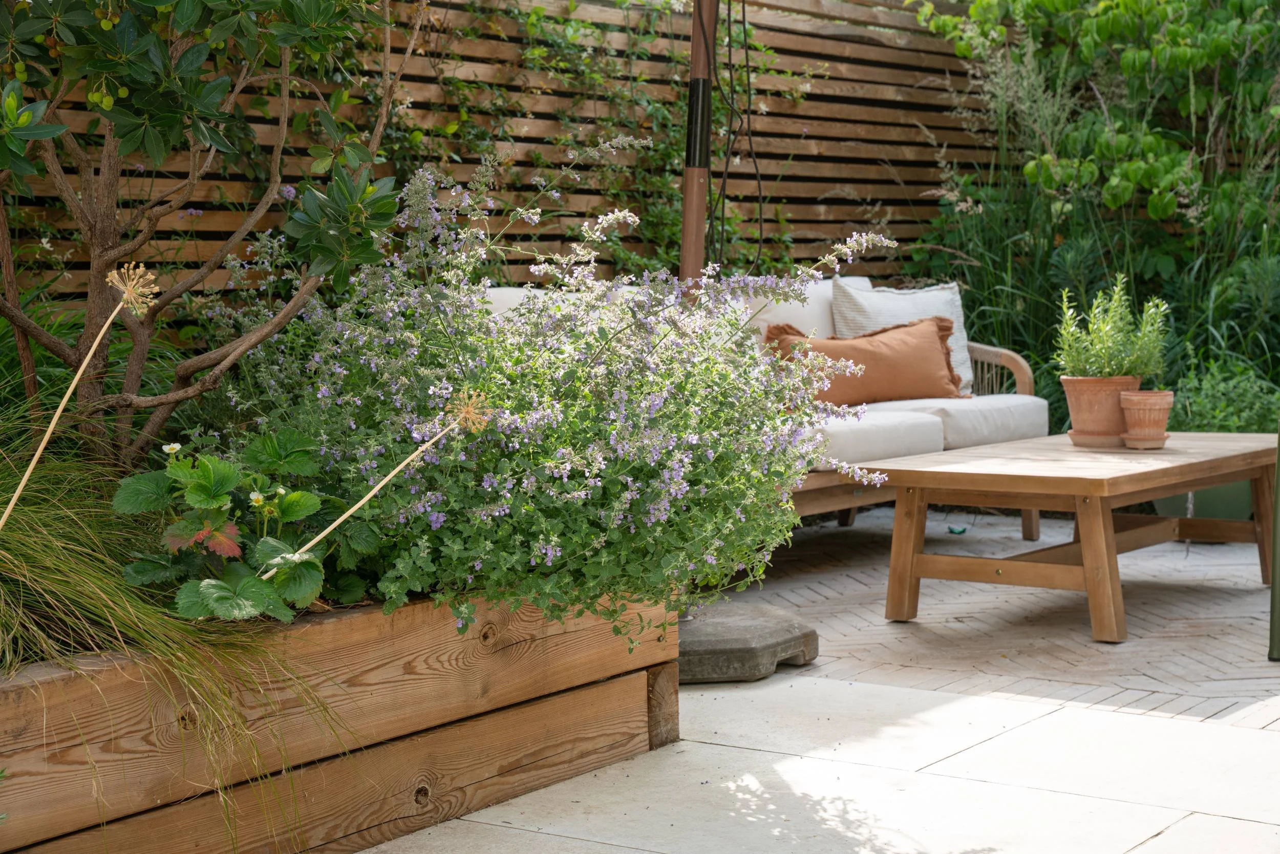 Small town garden in Cobham with layered planting softening slatted screens and raised beds, designed by Paul Studholme
