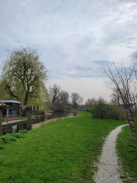 Nieuws - Samen al jaren op de bres voor gezonder groen en blauw&nbsp;