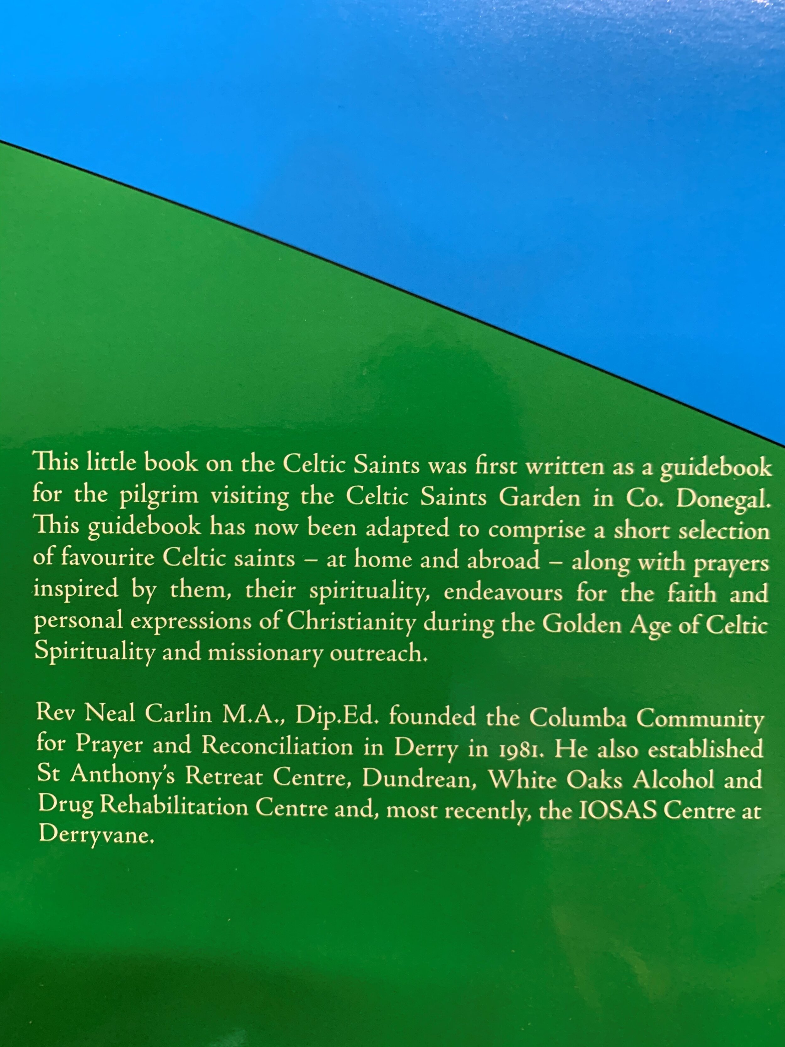 favourite+Celtic+Saints+back.jpeg