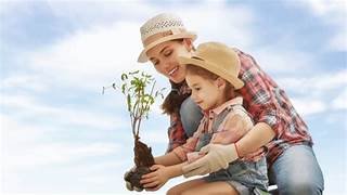 Healing from Childhood Trauma: Where to Start