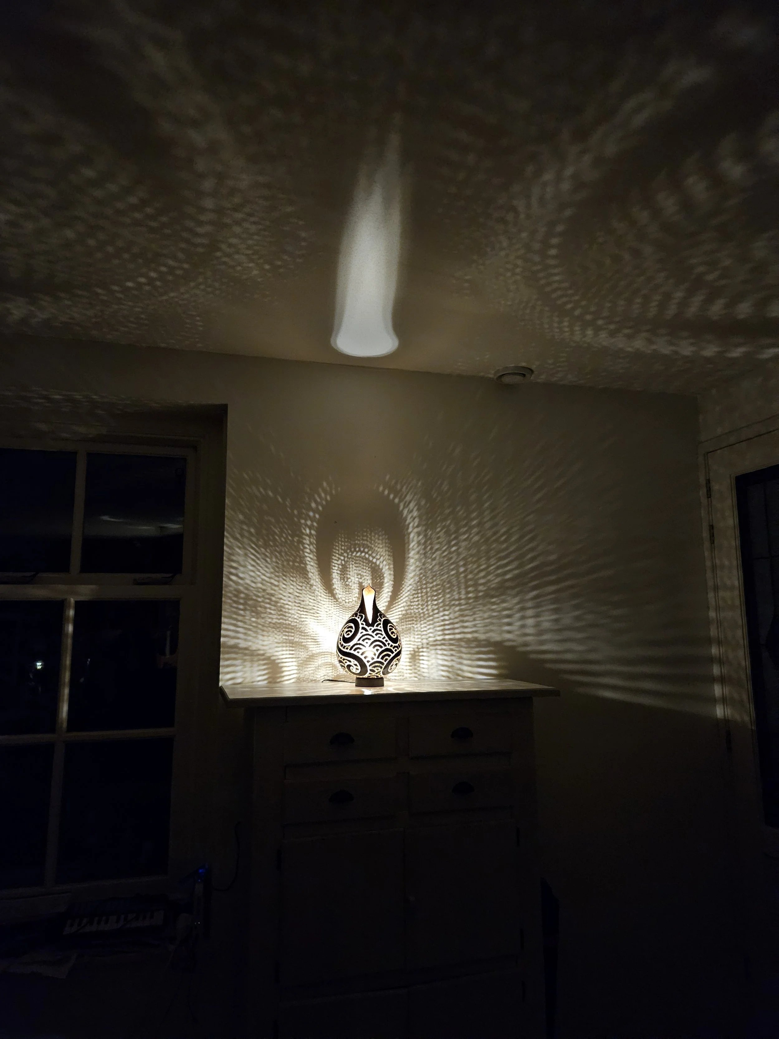 20260920_204449.jpg