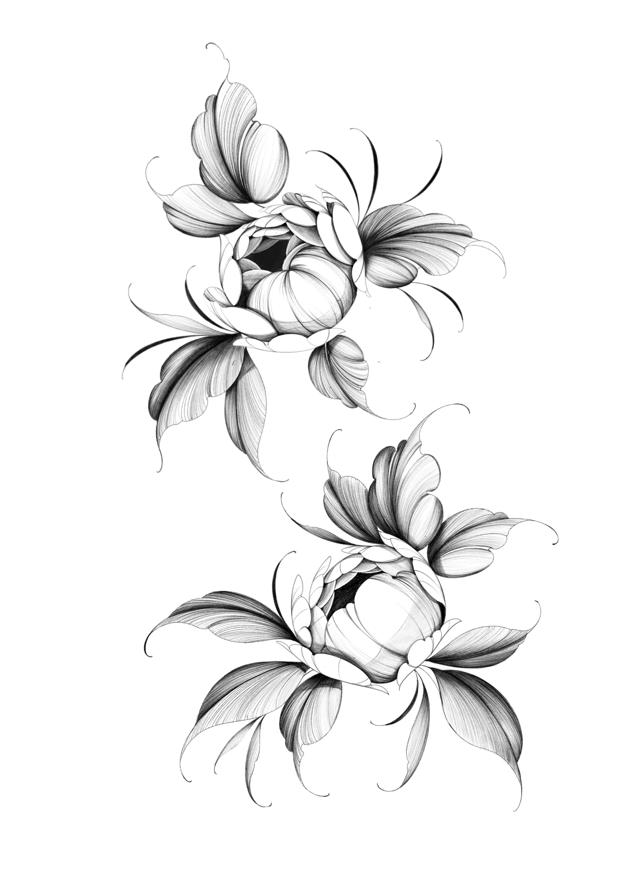Illustration_sans_titre 3.jpg