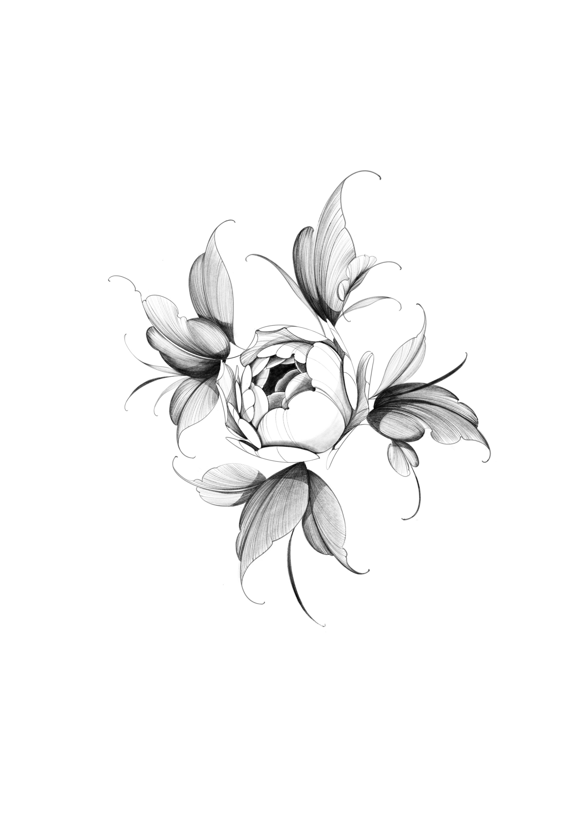 Illustration_sans_titre 2.jpg