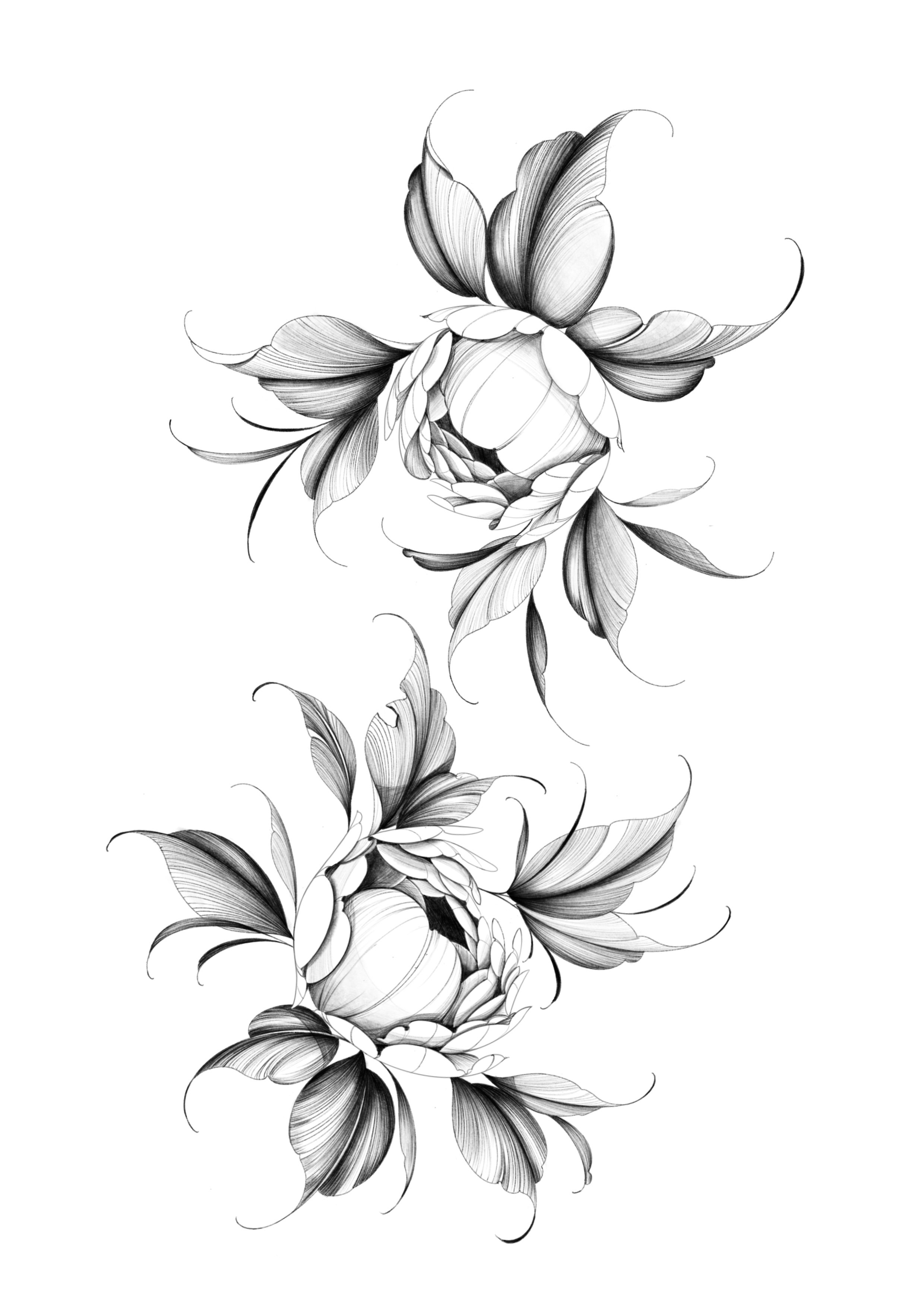 Illustration_sans_titre 4.jpg