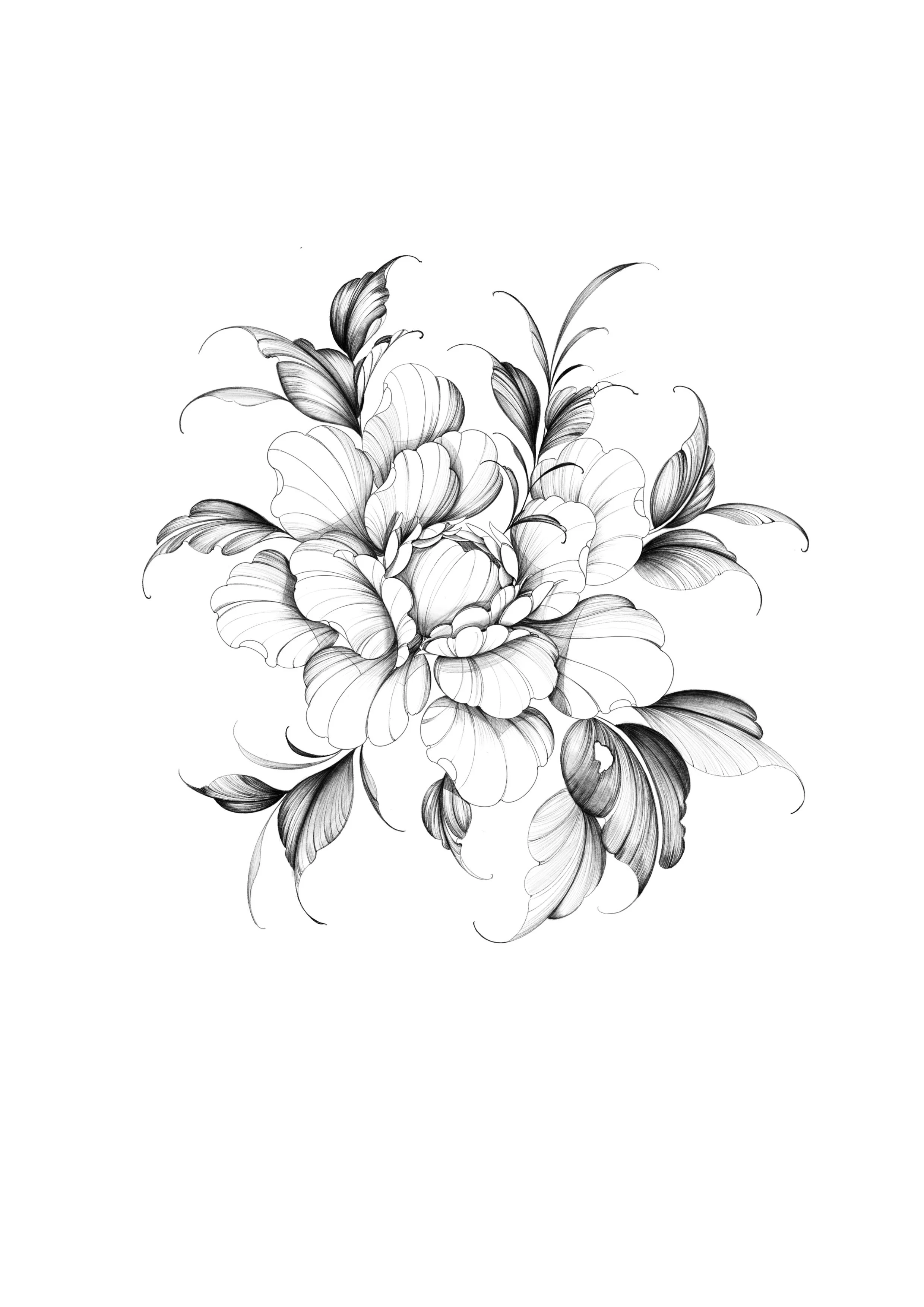 Illustration_sans_titre.jpg